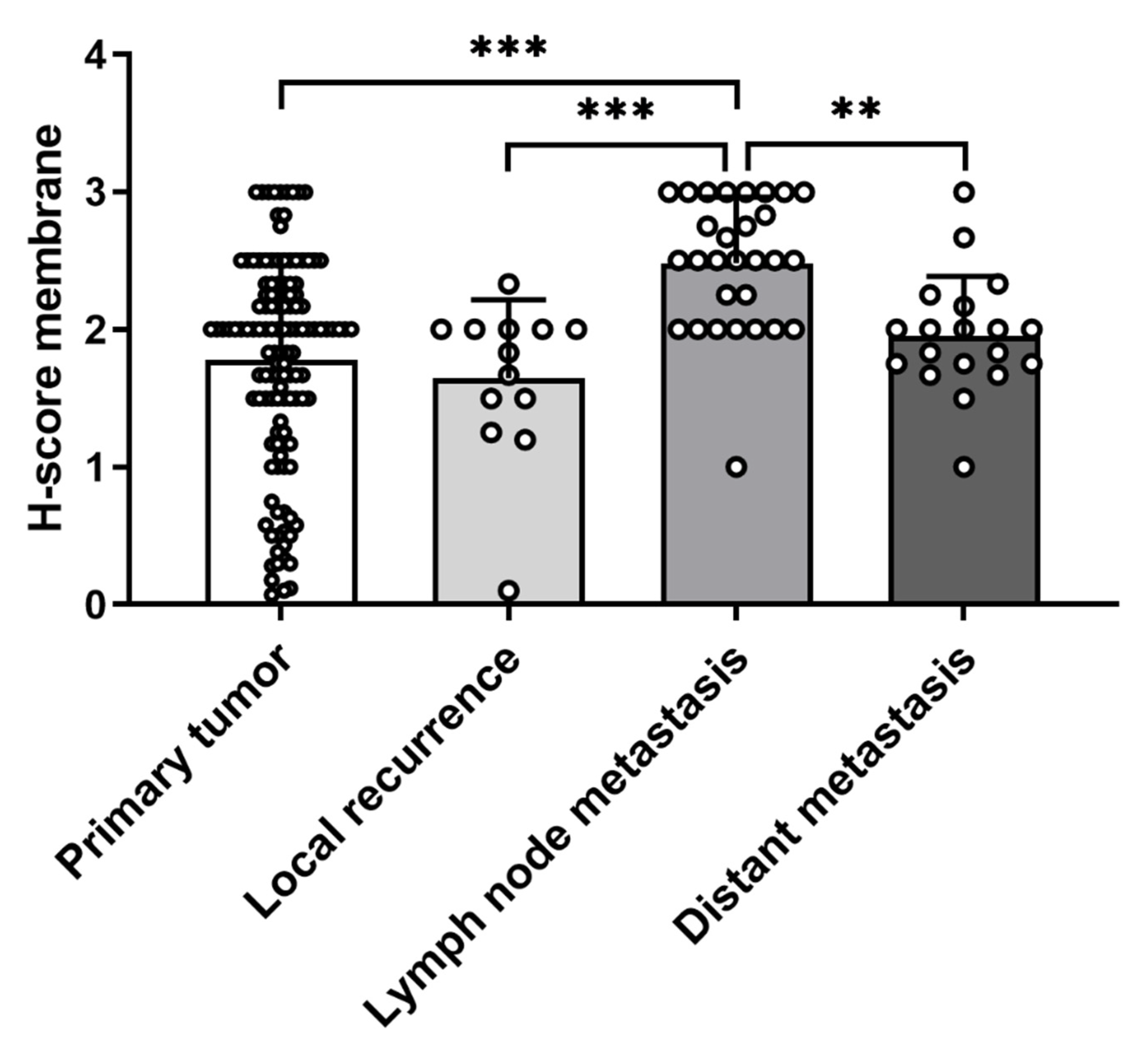 Cancers 13 05693 g002 Cancers 13 05693 g002