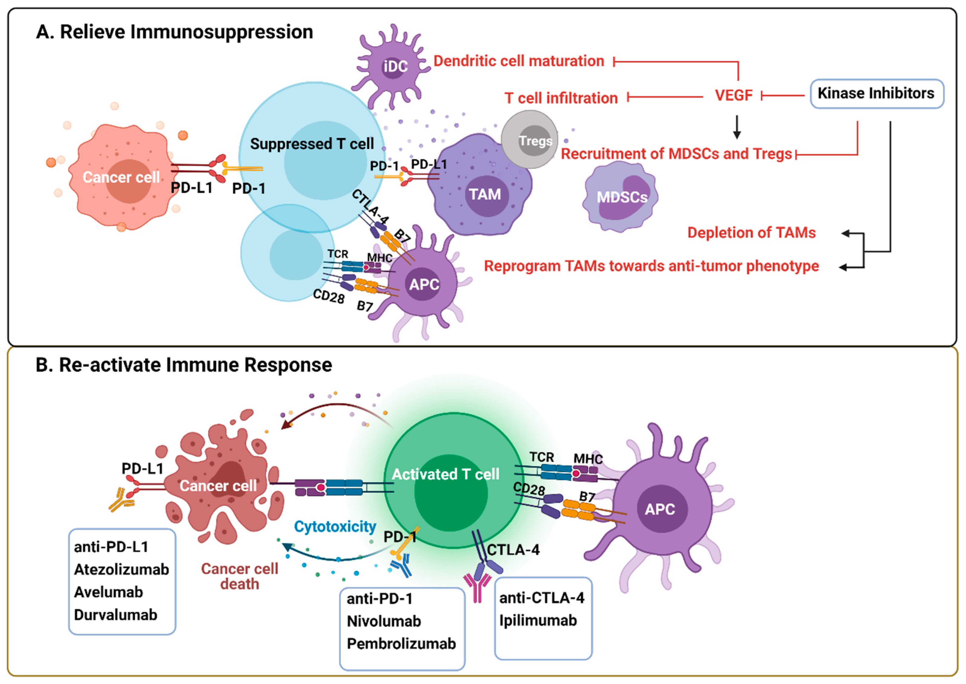 Cancers 13 05695 g003