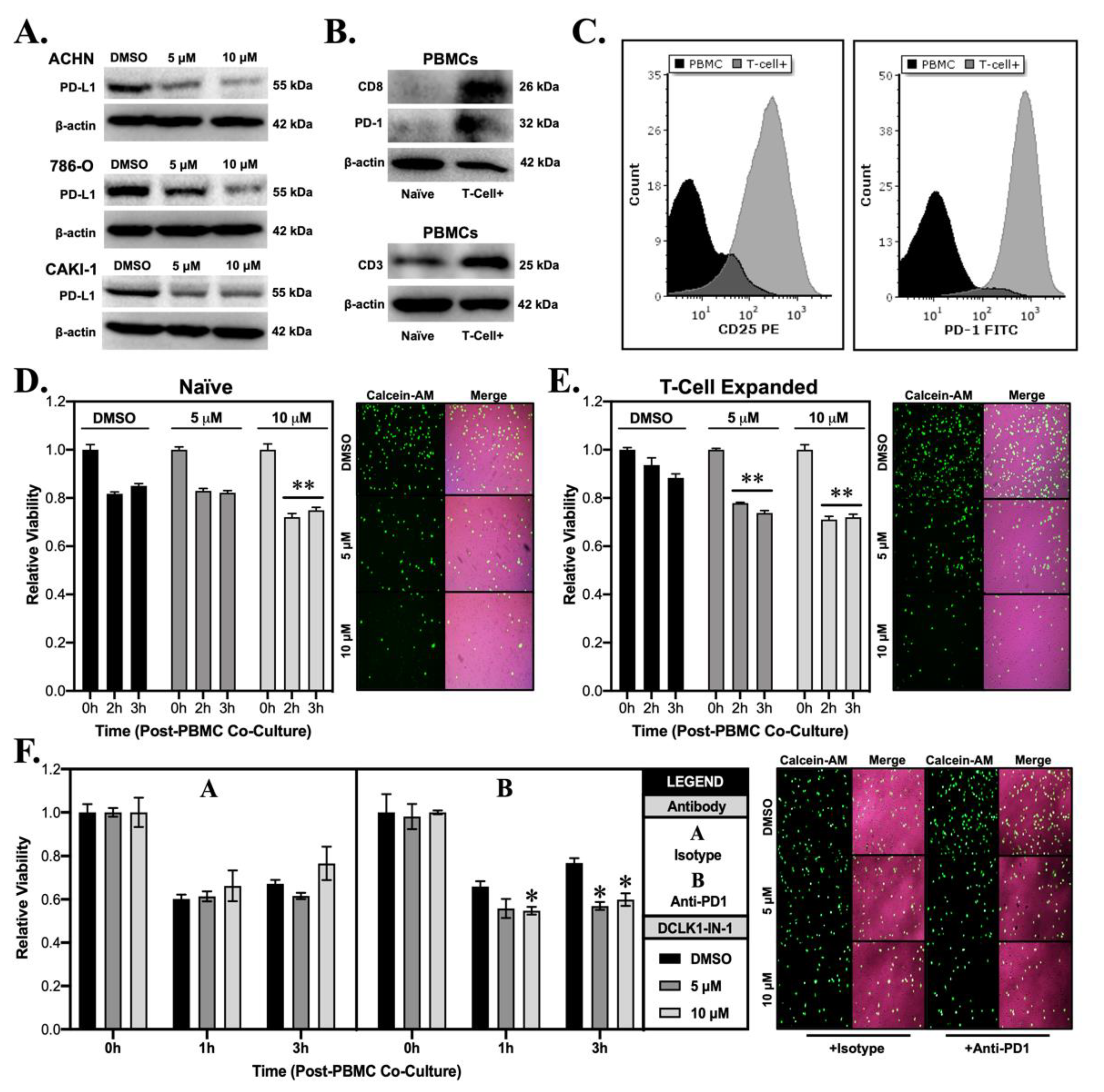 Cancers 13 05729 g004