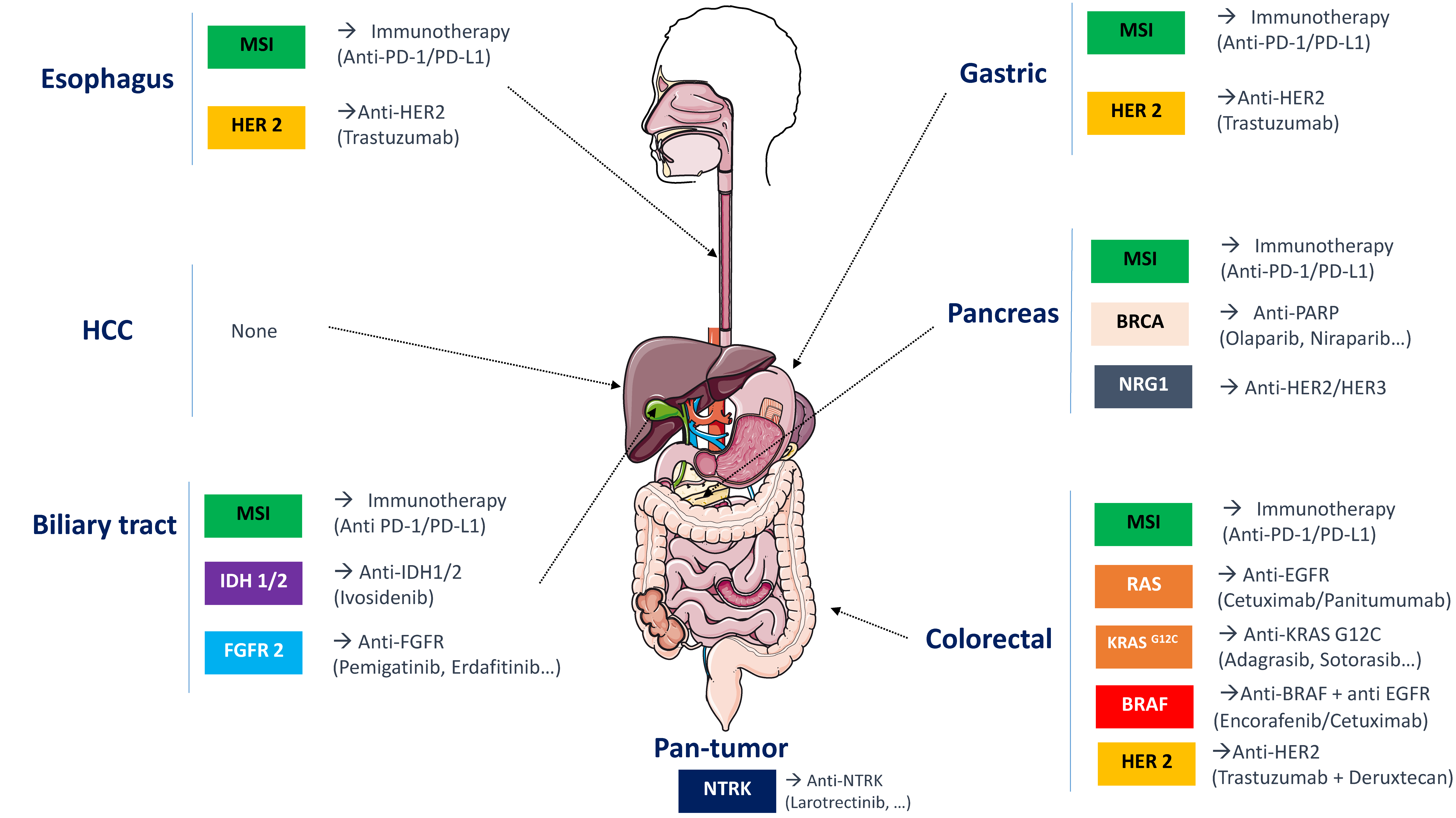 Cancers 13 05750 g002