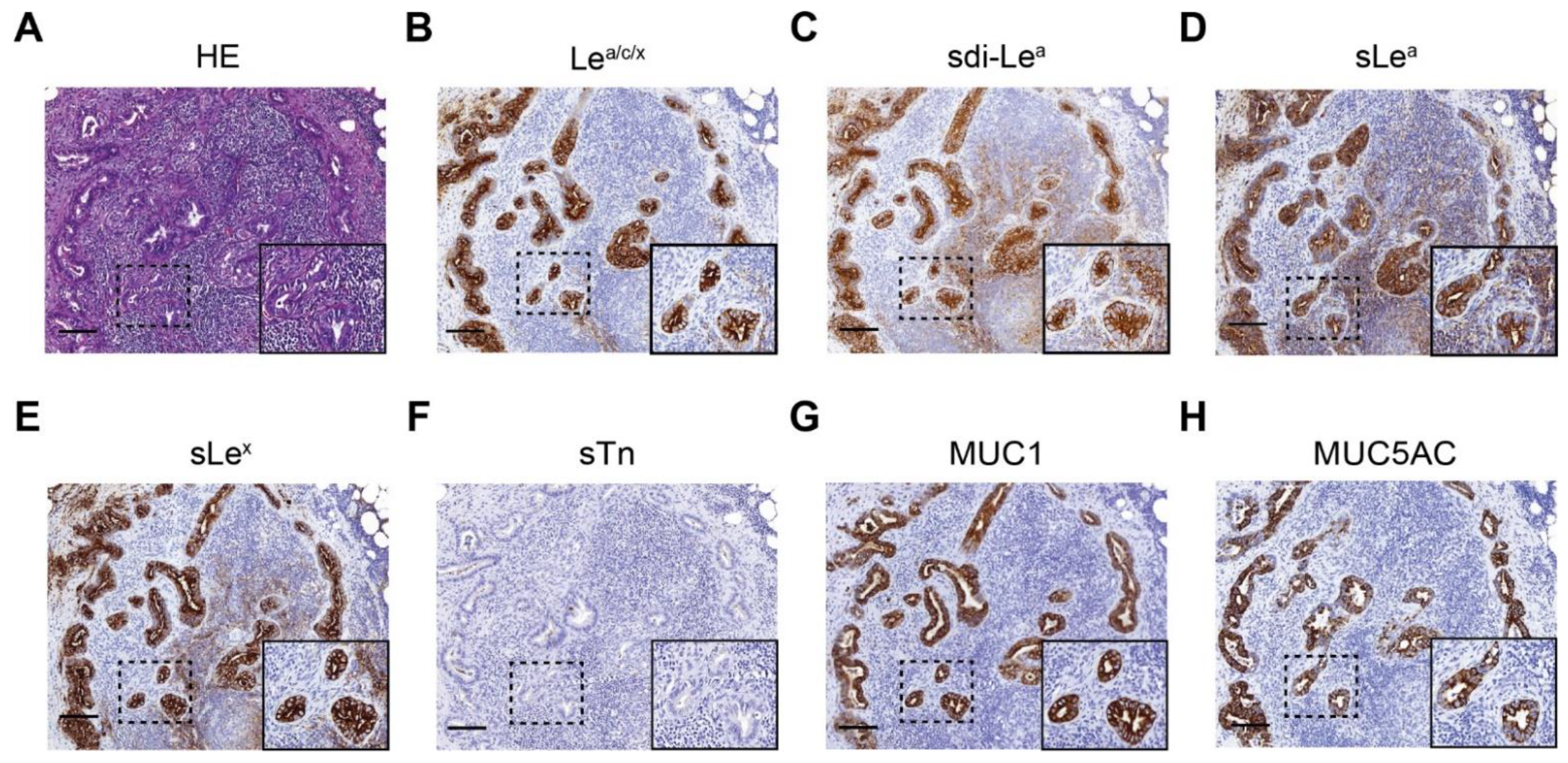 Cancers 13 05777 g004