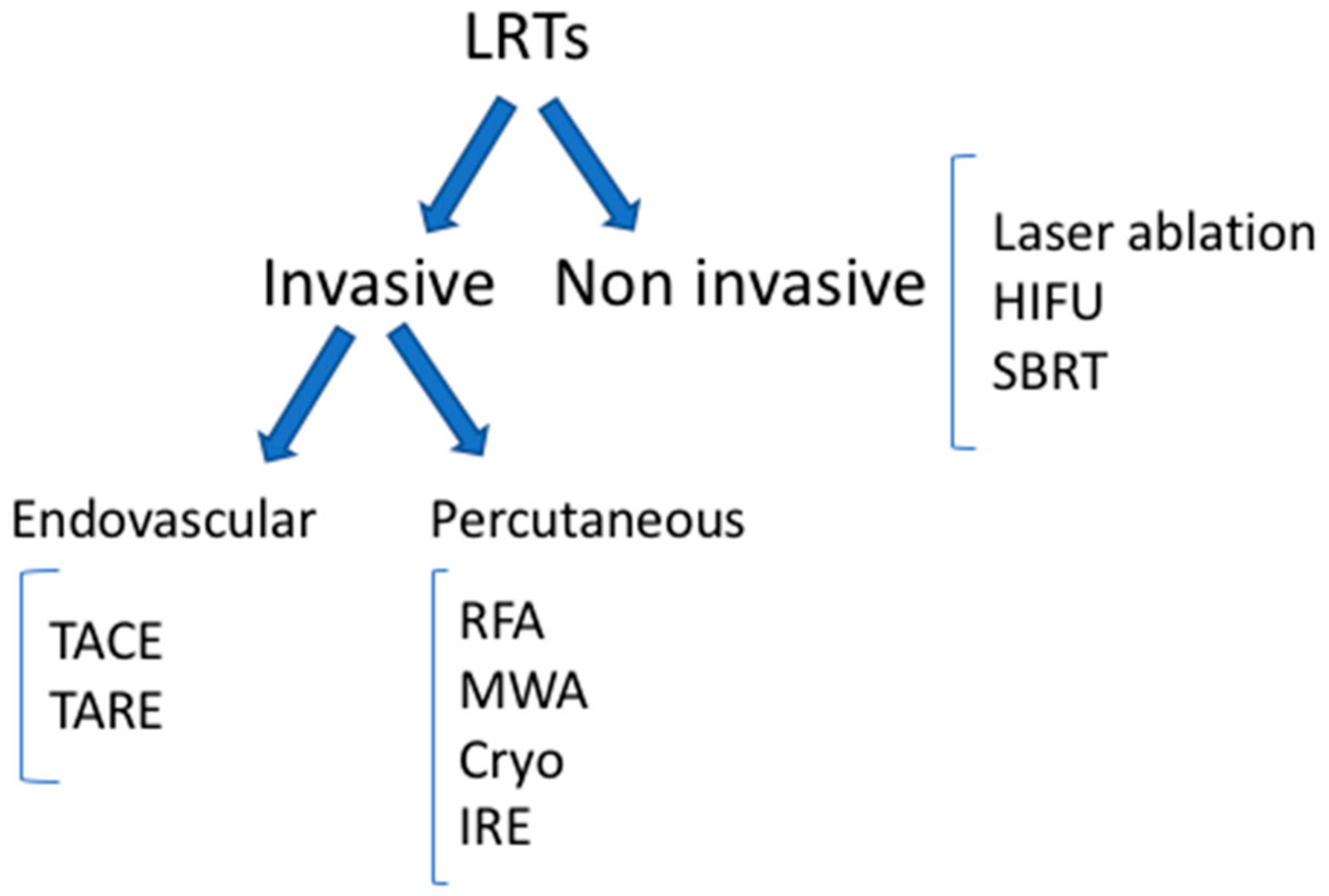 Cancers  Free Full-Text  Interventional Radiology Image-Guided 