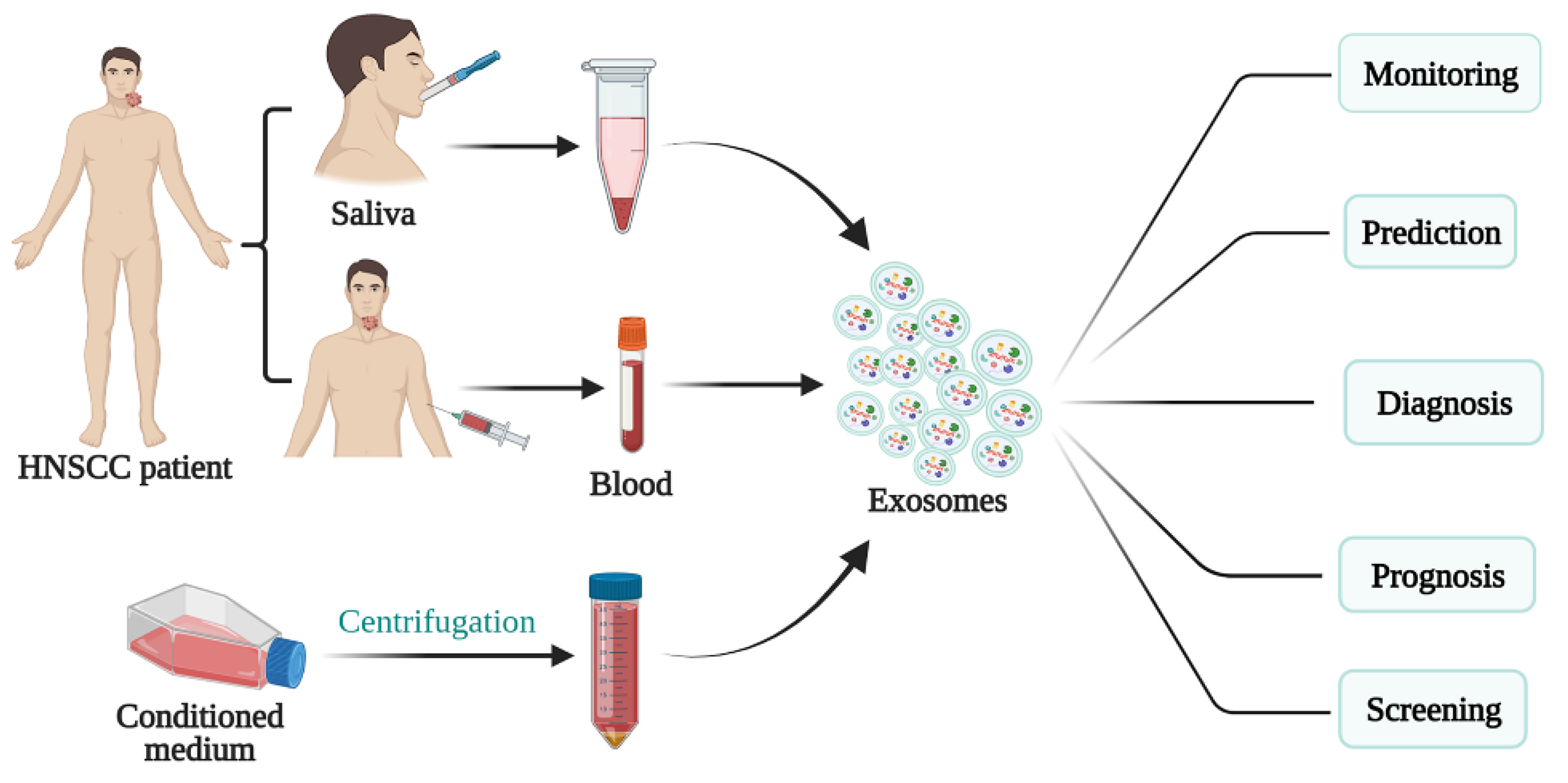 Cancers 13 05802 g002