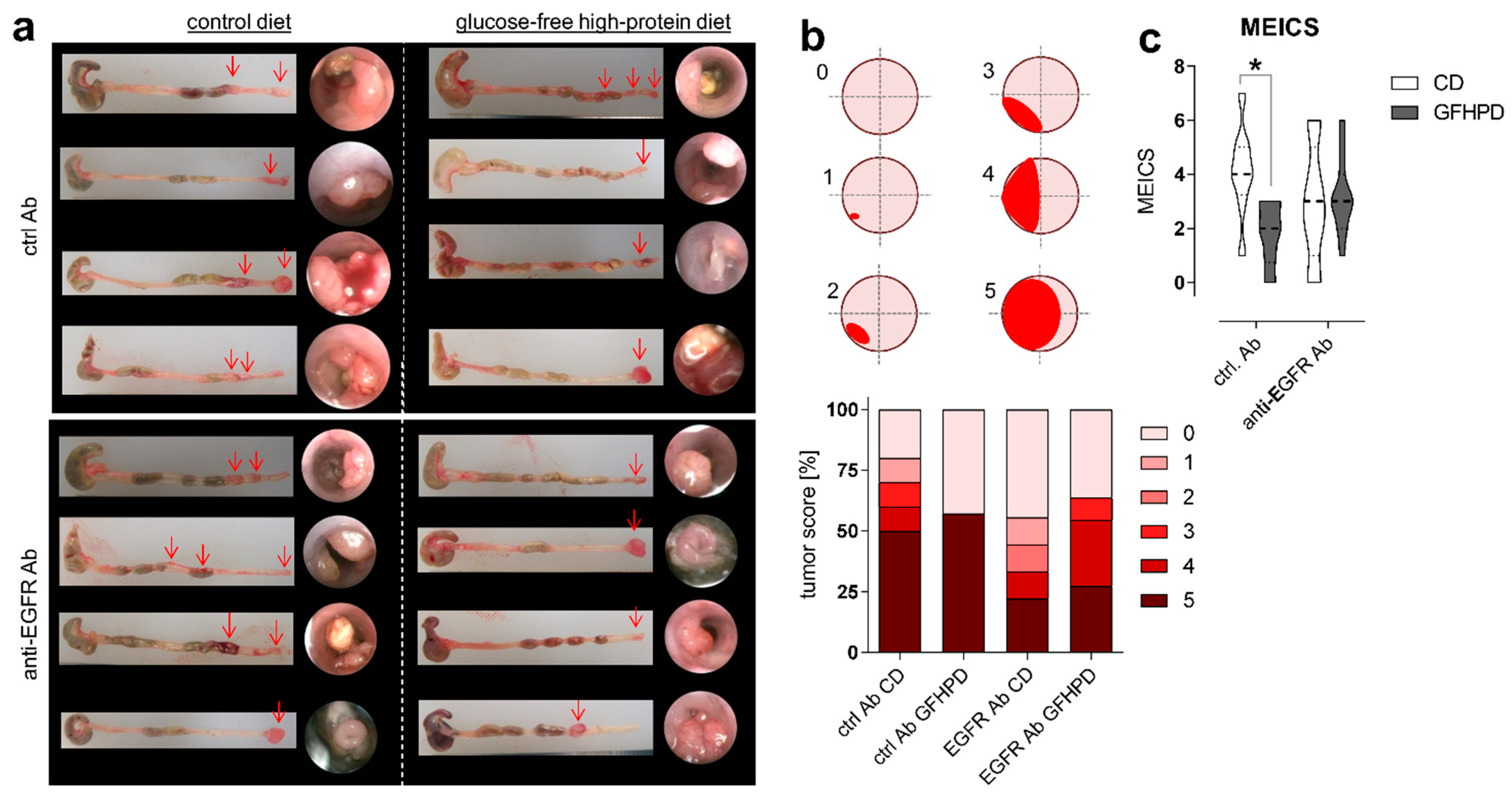 Cancers 13 05817 g002