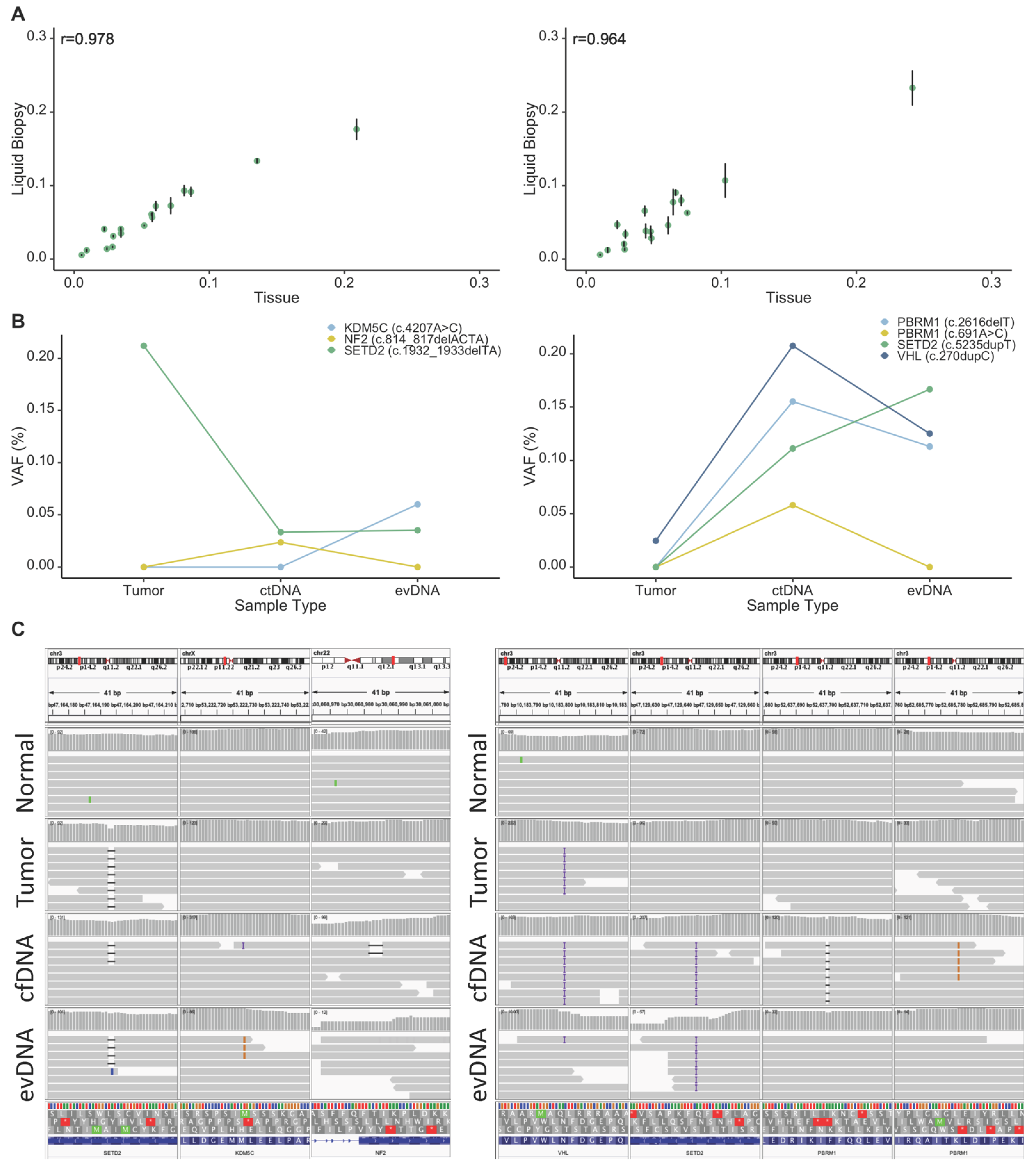 Cancers 13 05825 g004