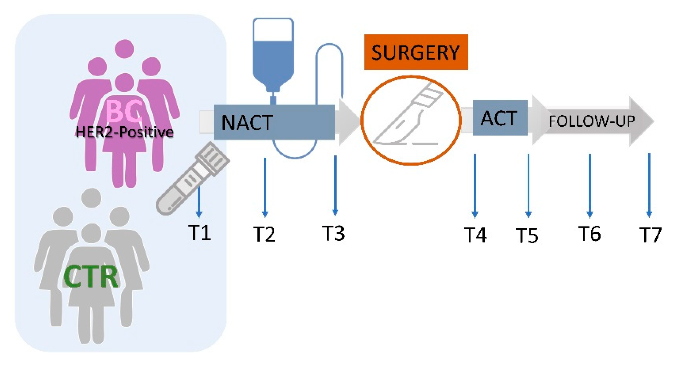 Cancers 13 05845 g001