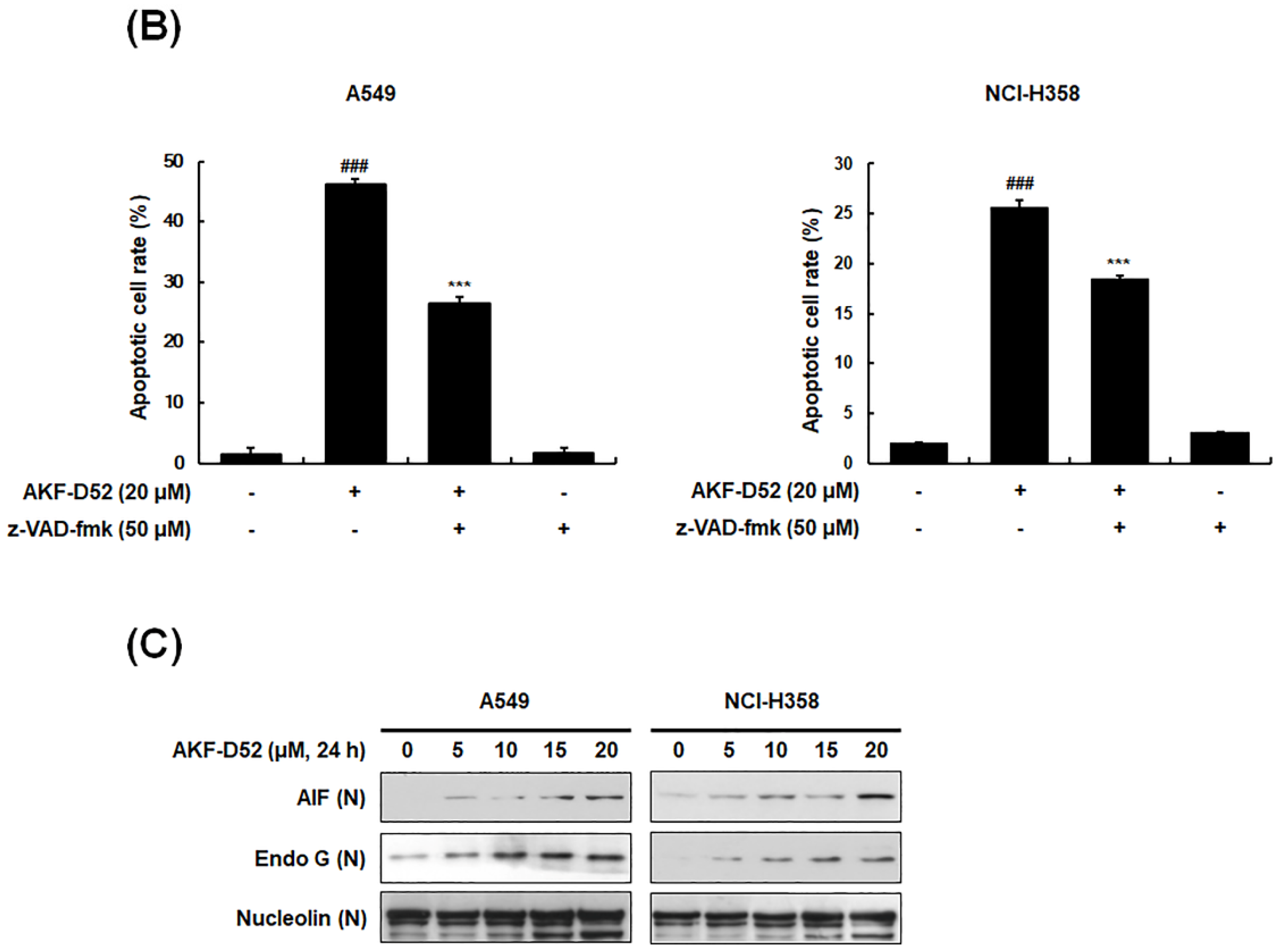 Cancers 13 05849 g002b Cancers 13 05849 g002b
