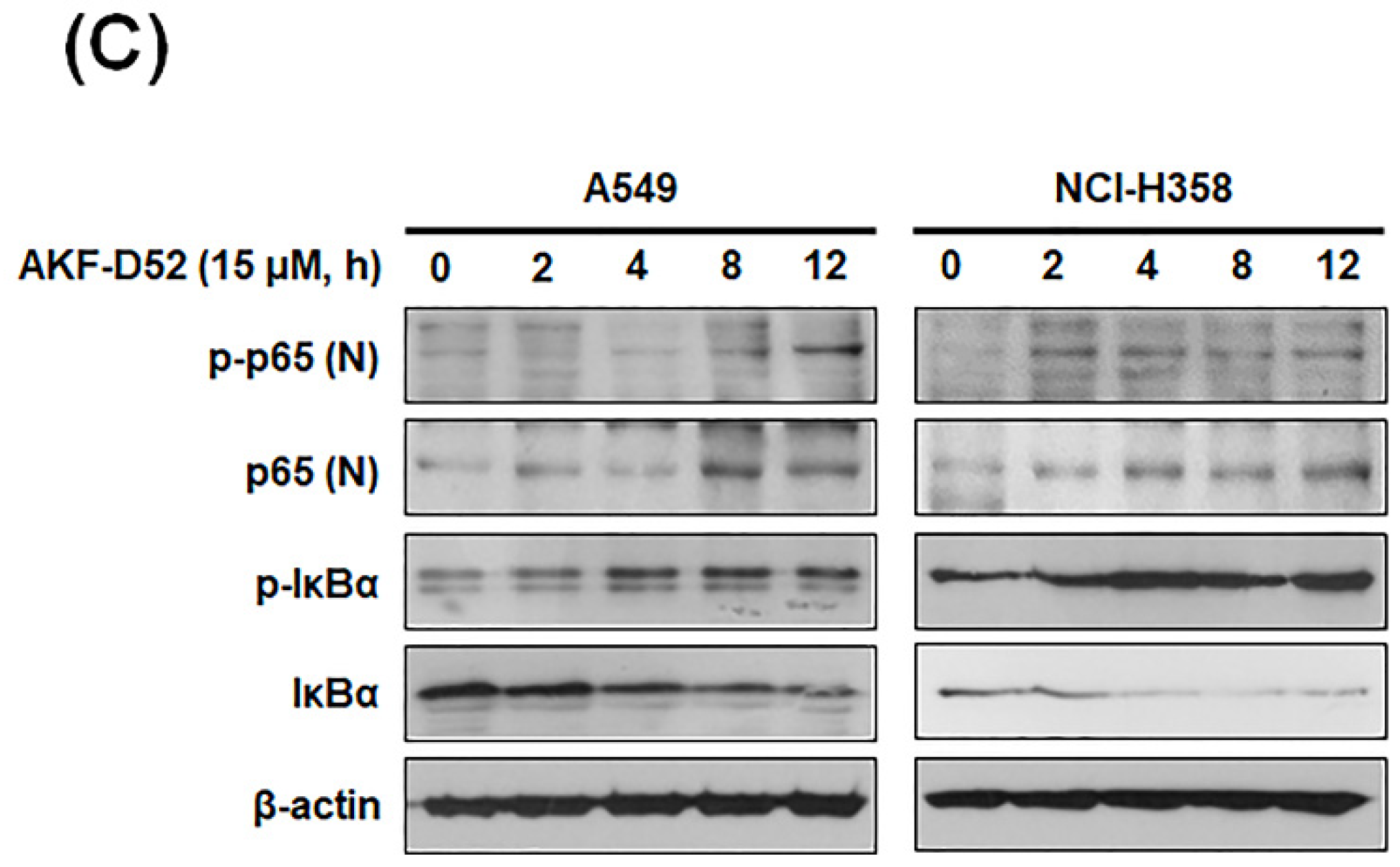 Cancers 13 05849 g004b Cancers 13 05849 g004b