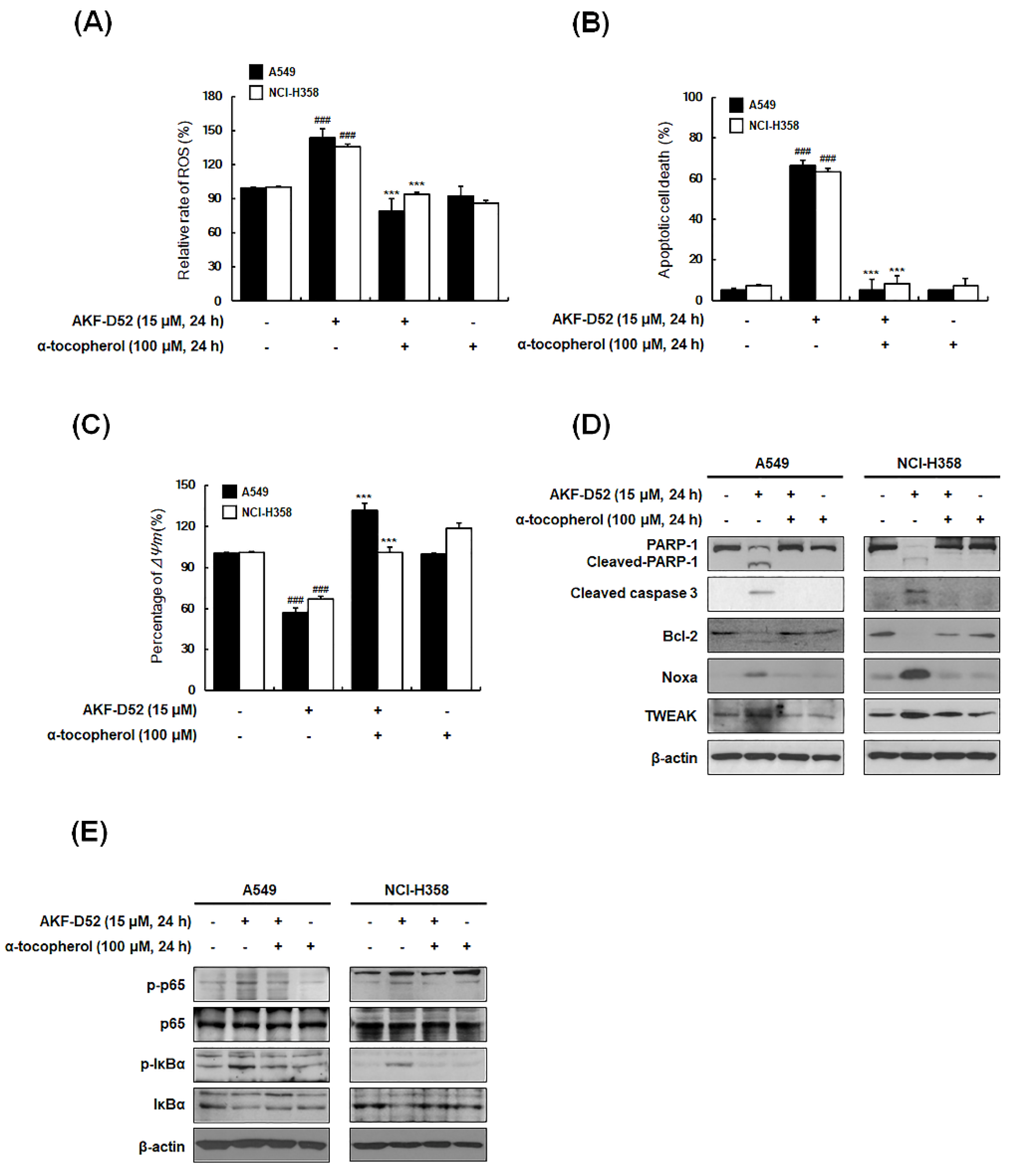 Cancers 13 05849 g006 Cancers 13 05849 g006