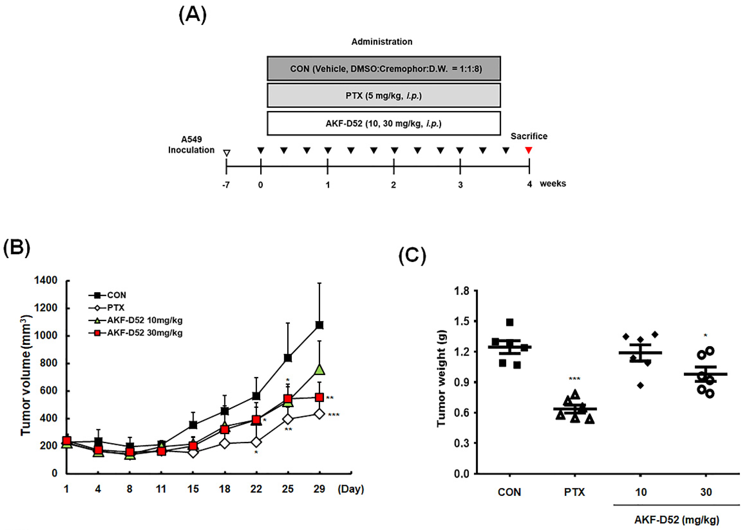 Cancers 13 05849 g007a Cancers 13 05849 g007a
