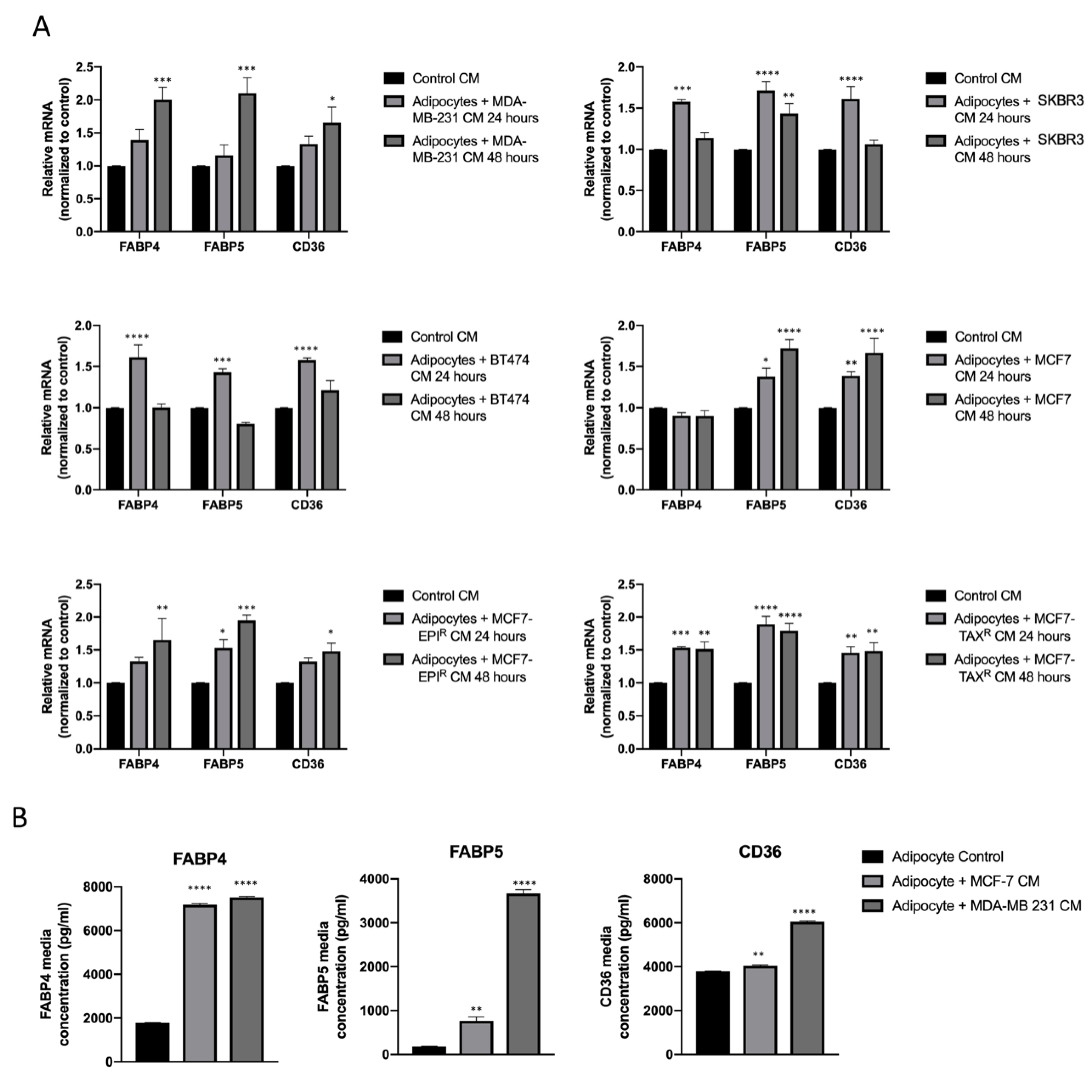 Cancers 13 05871 g002