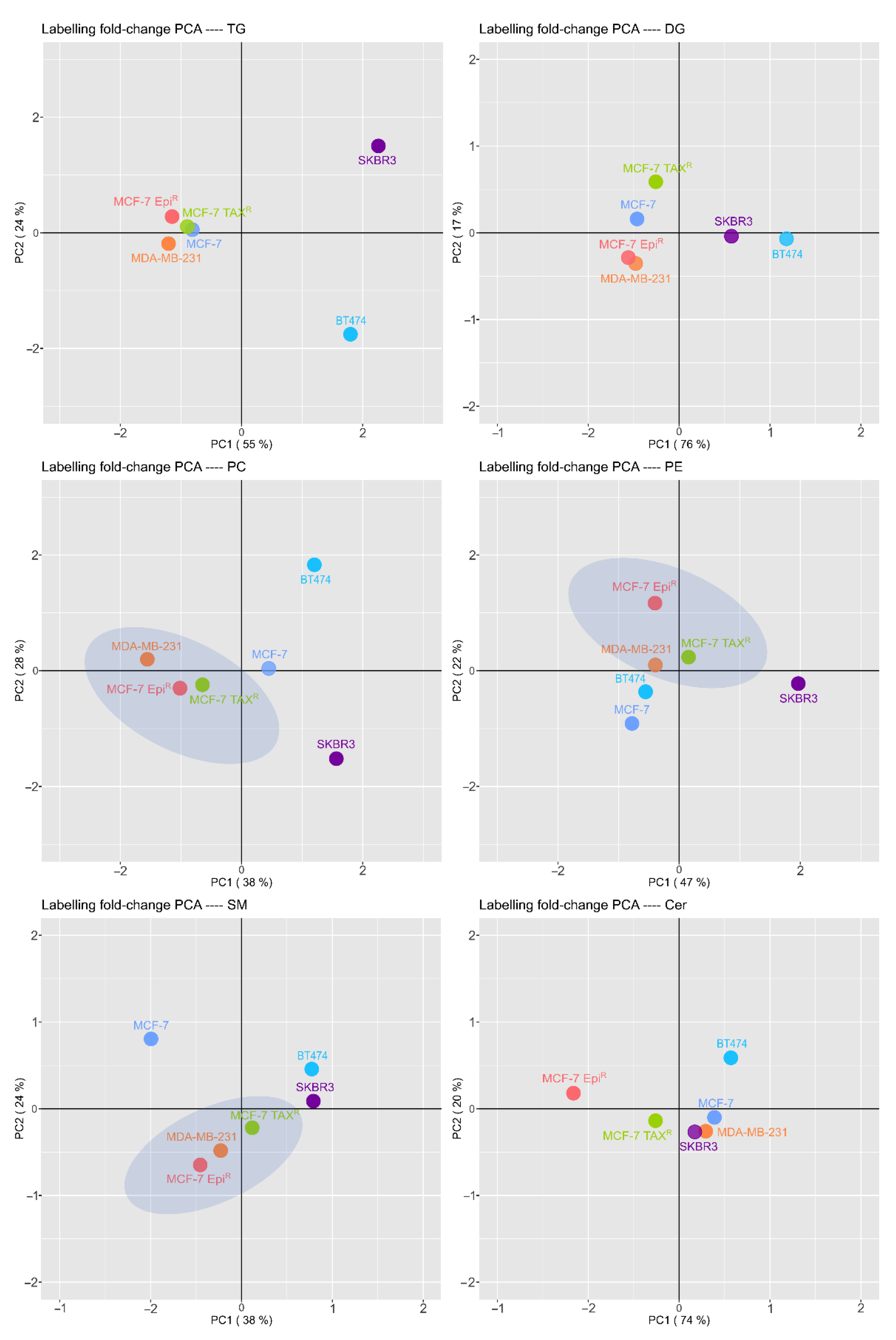 Cancers 13 05871 g005