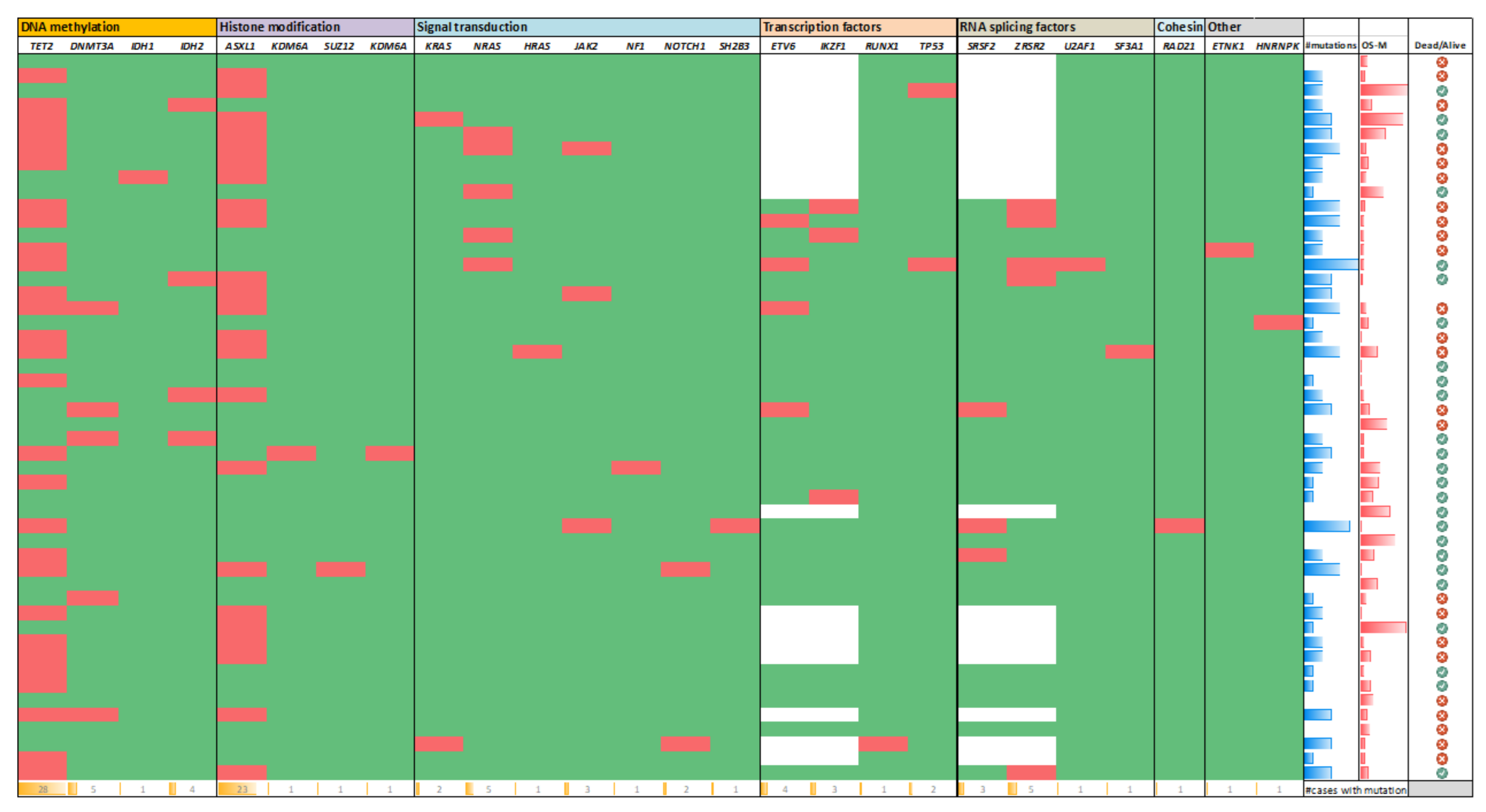 Cancers 13 05888 g002