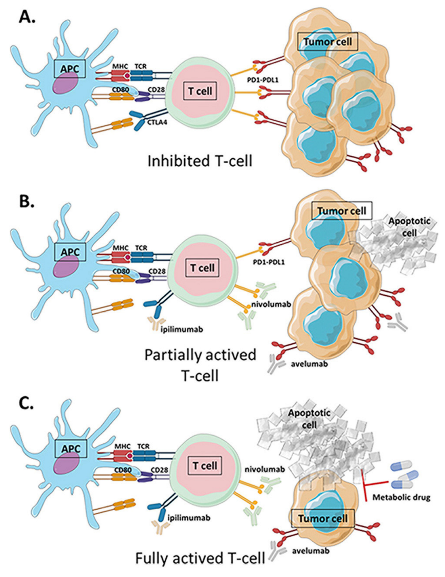 Cancers 13 05912 g005