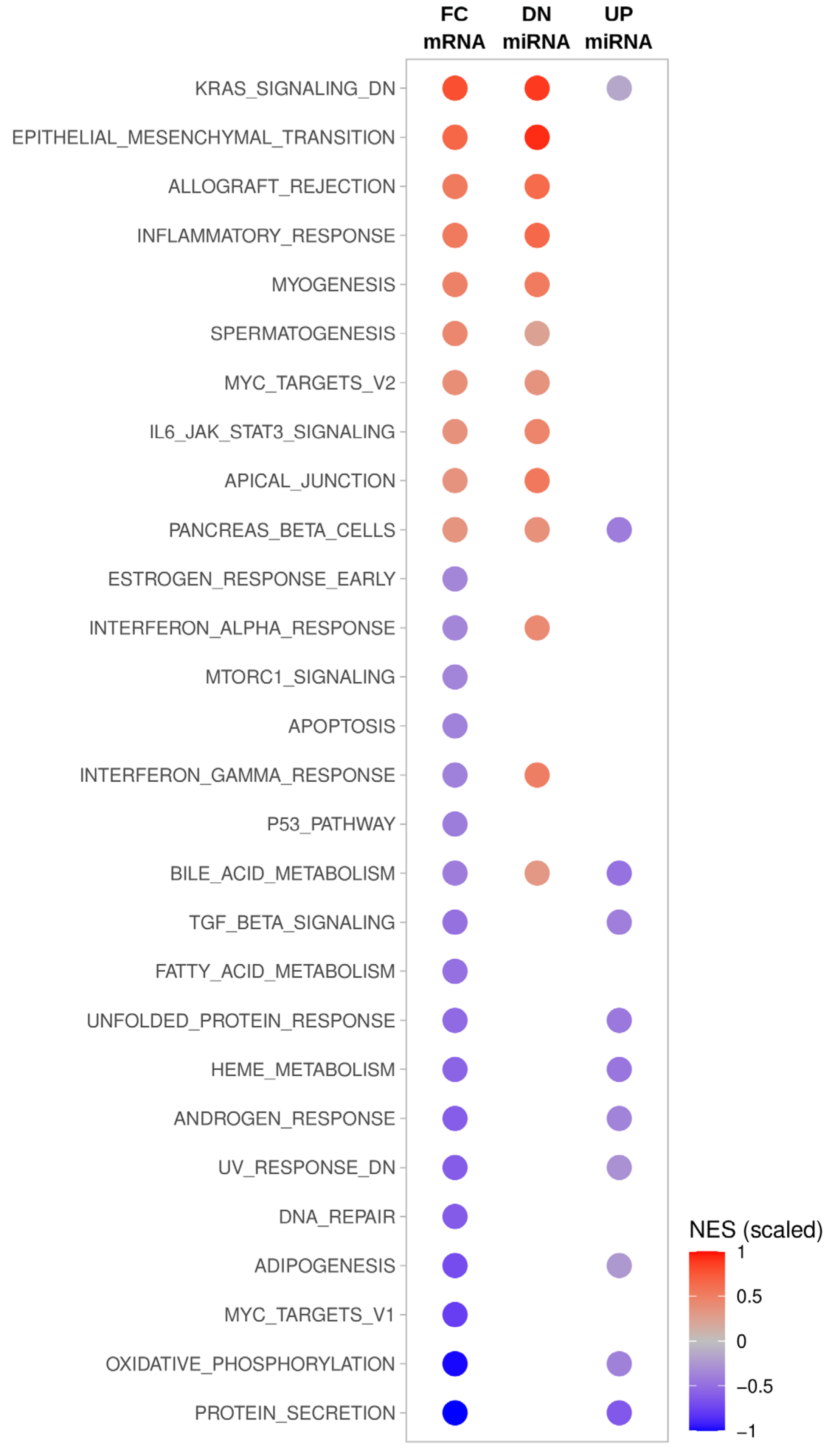 Cancers 13 05913 g003 Cancers 13 05913 g003