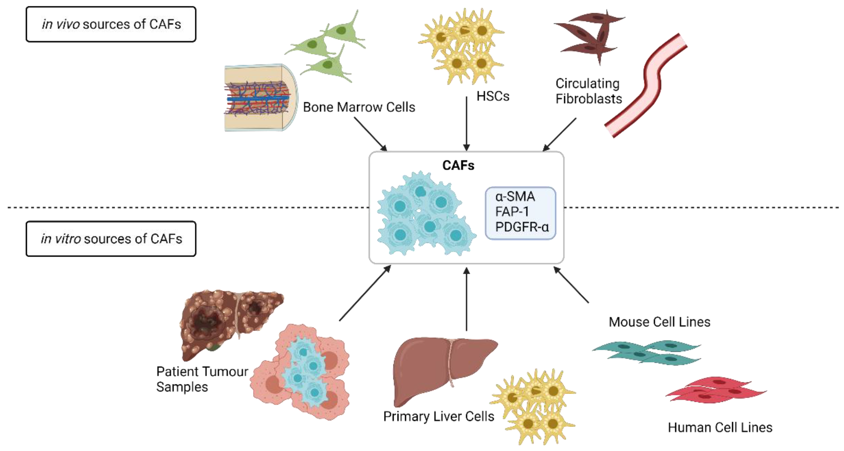 Cancers 13 05914 g001 Cancers 13 05914 g001
