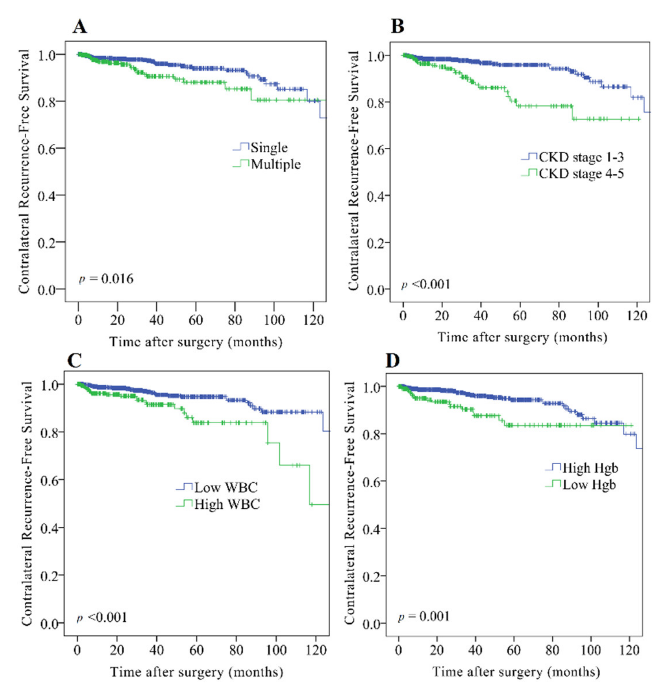 Cancers 13 05935 g001