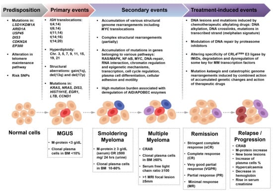 Cancers | Free Full-Text | Genome Instability in Multiple Myeloma: Facts  and Factors | HTML