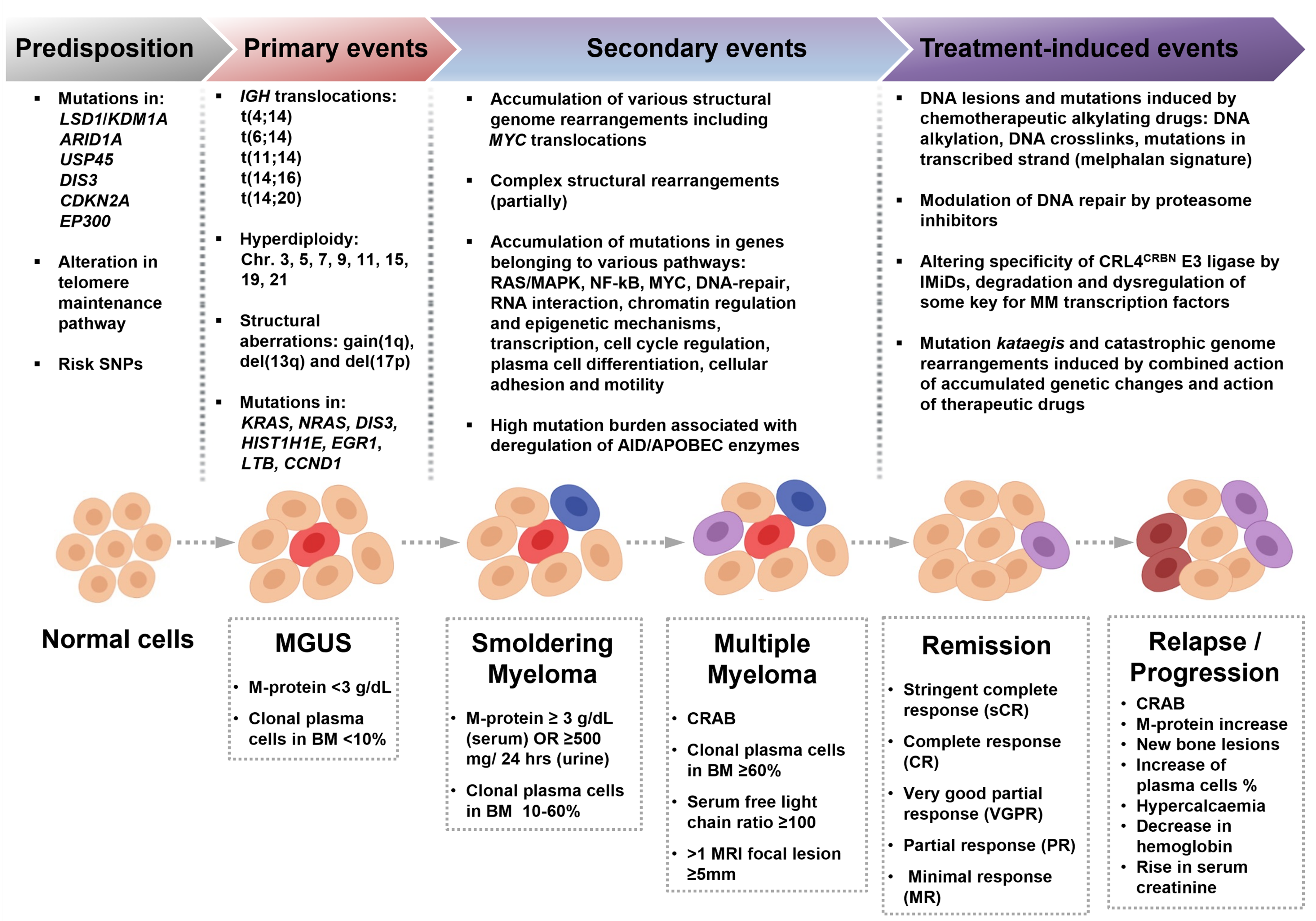 Cancers | Free Full-Text | Genome Instability in Multiple Myeloma: Facts  and Factors