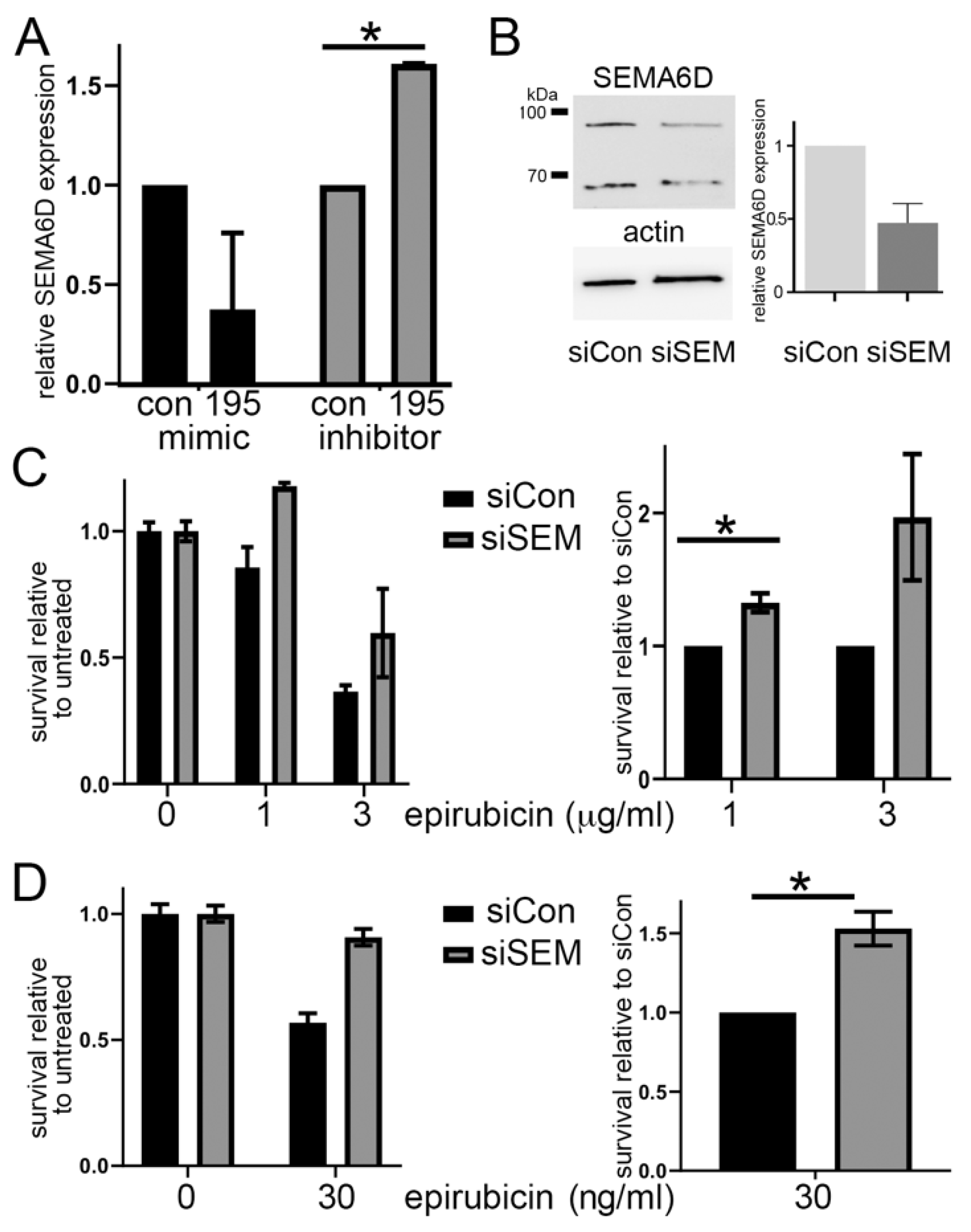 Cancers 13 05979 g003