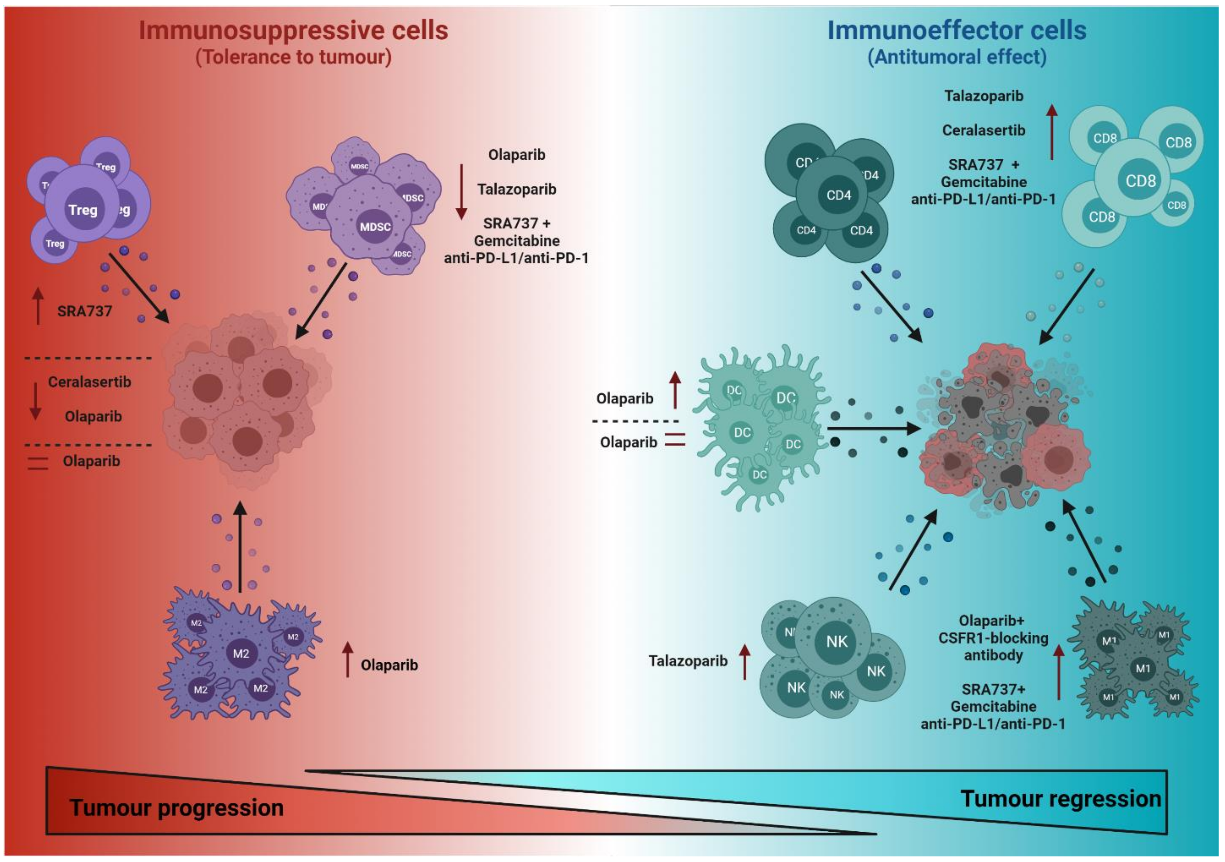 Cancers 13 06008 g002