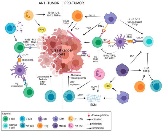 Cancers | Free Full-Text | The Immune Landscape of Breast Cancer ...
