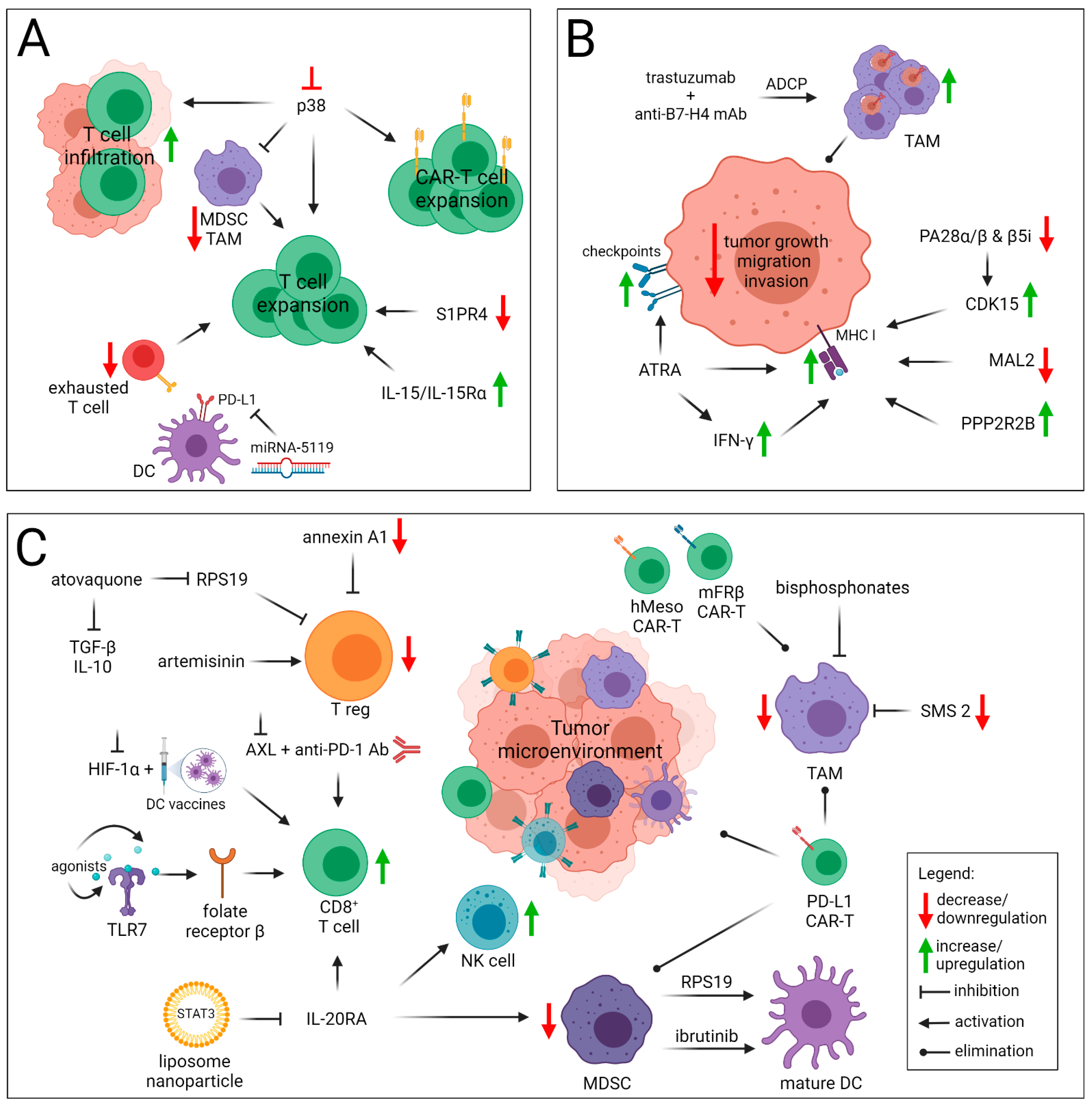 Cancers | Free Full-Text | The Immune Landscape of Breast Cancer ...