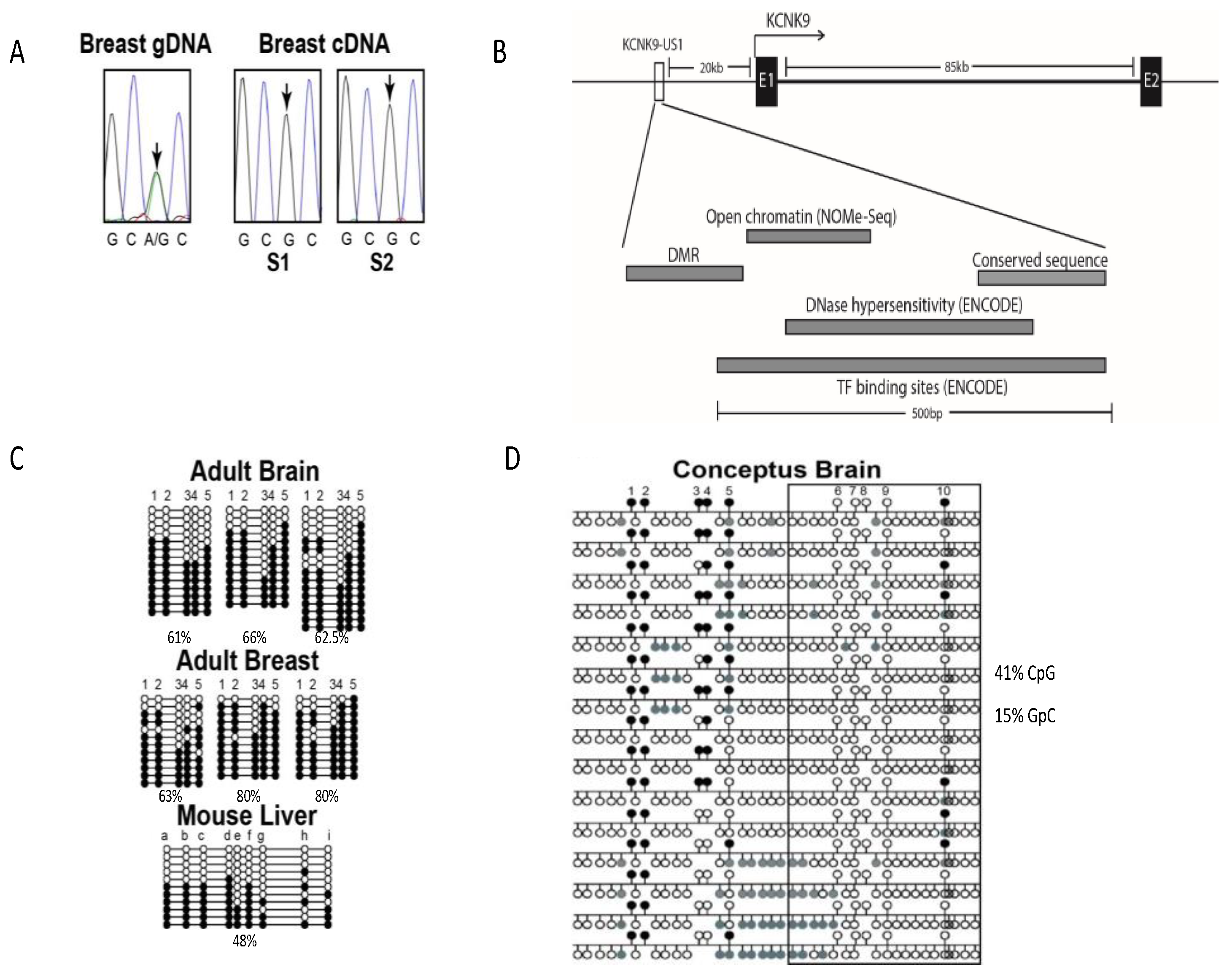 Cancers 13 06031 g001