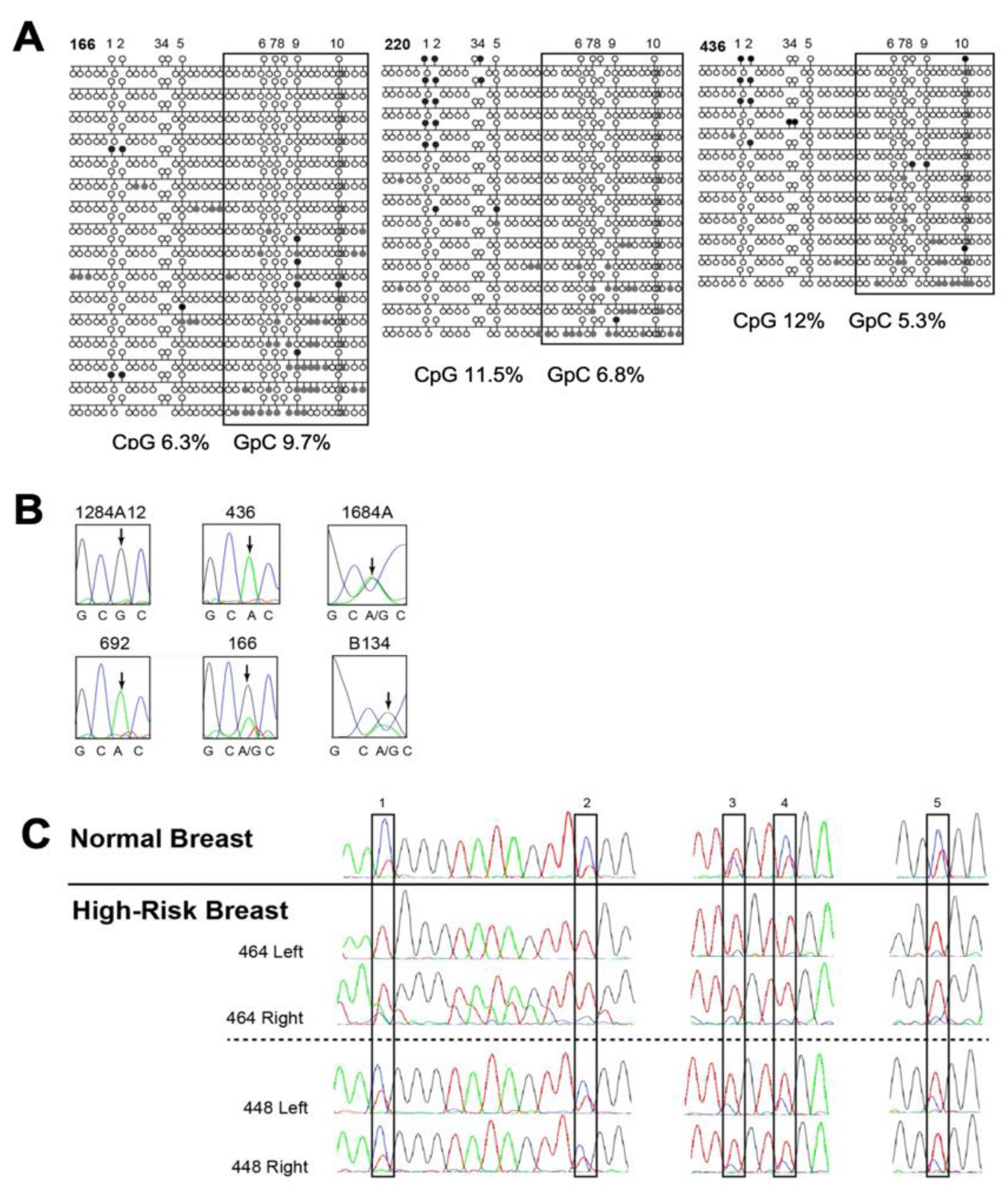 Cancers 13 06031 g003