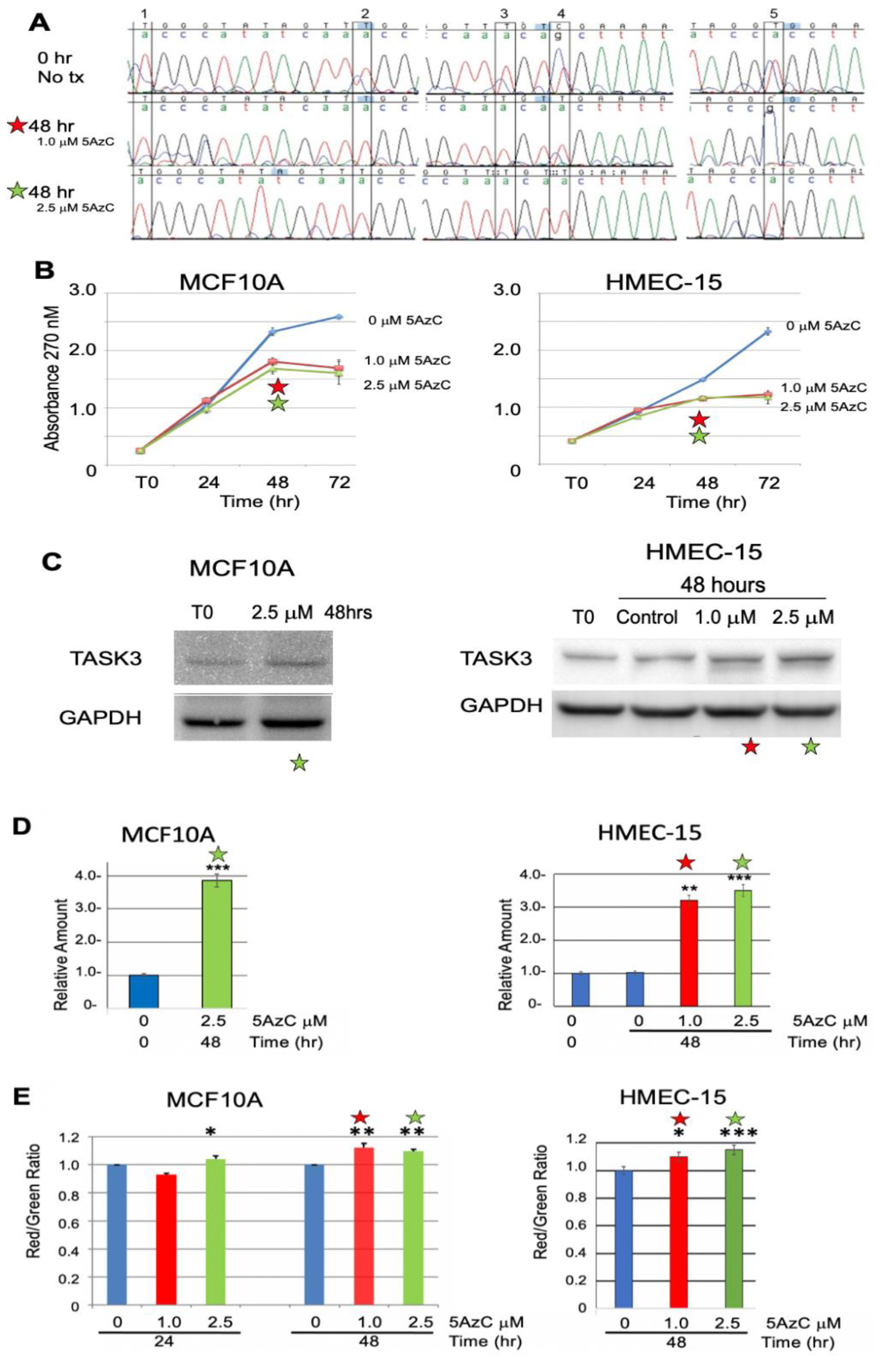 Cancers 13 06031 g004