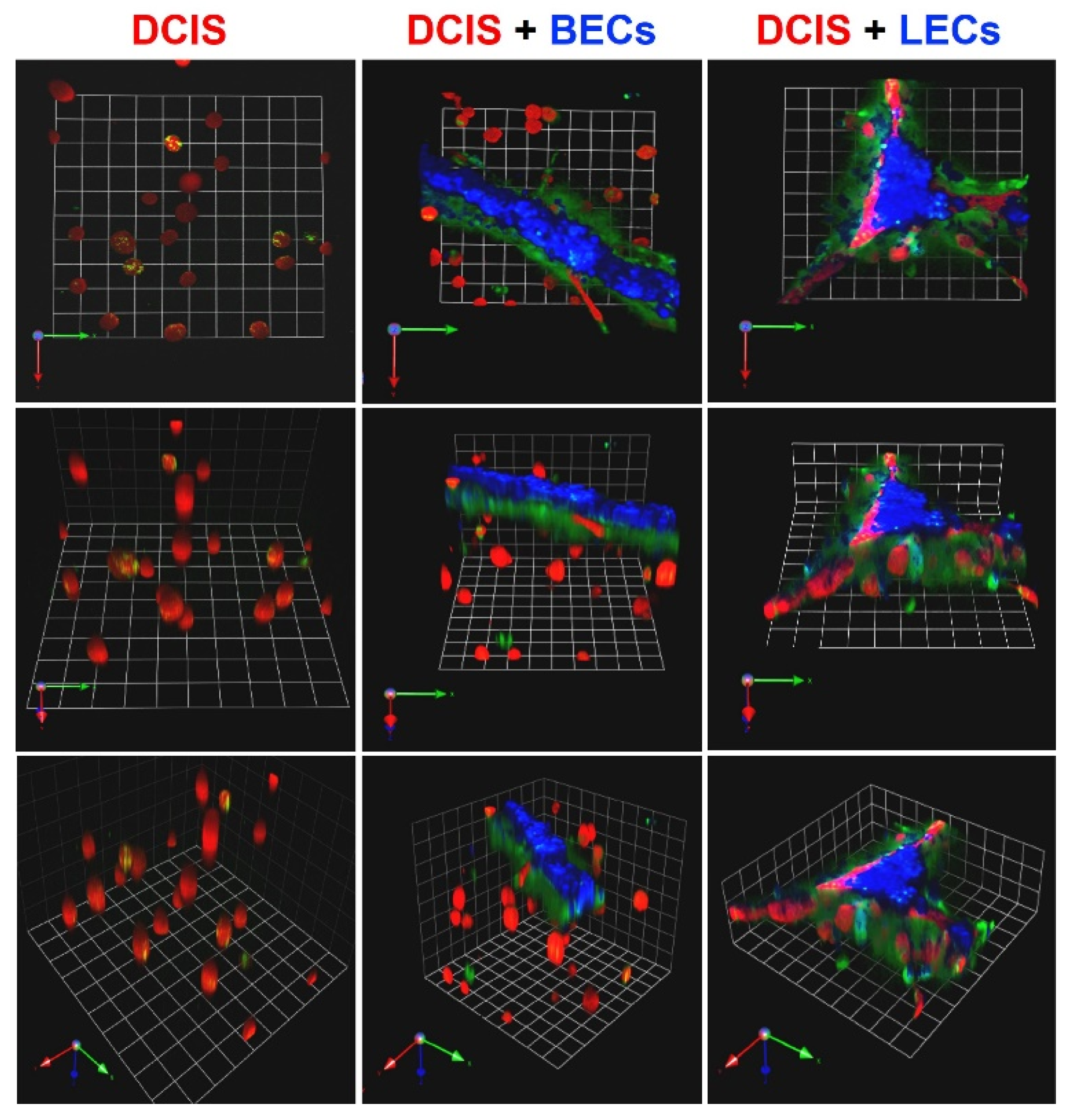 Cancers 13 06044 g001 Cancers 13 06044 g001