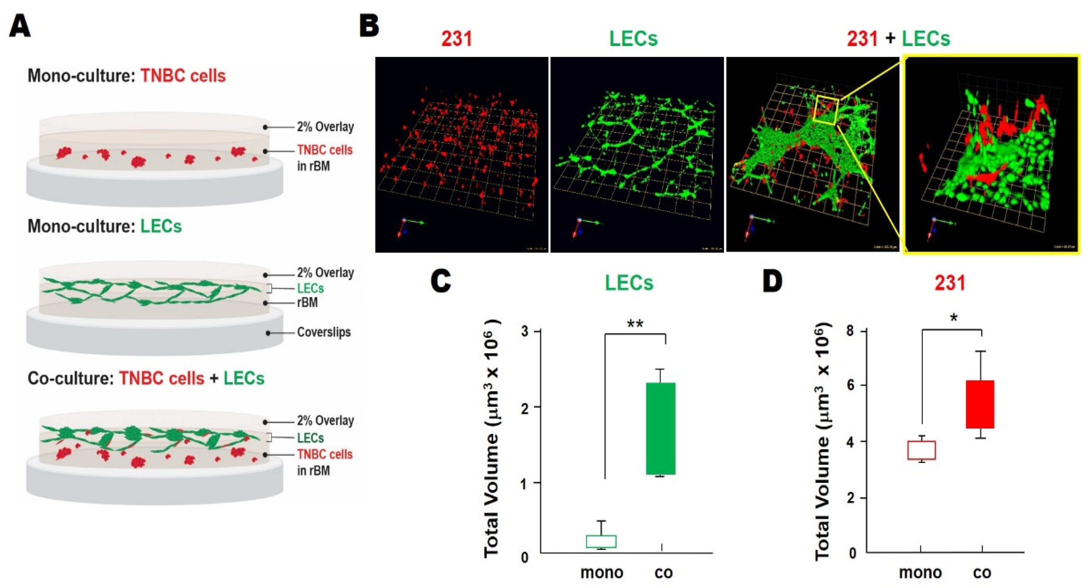Cancers 13 06044 g002 Cancers 13 06044 g002