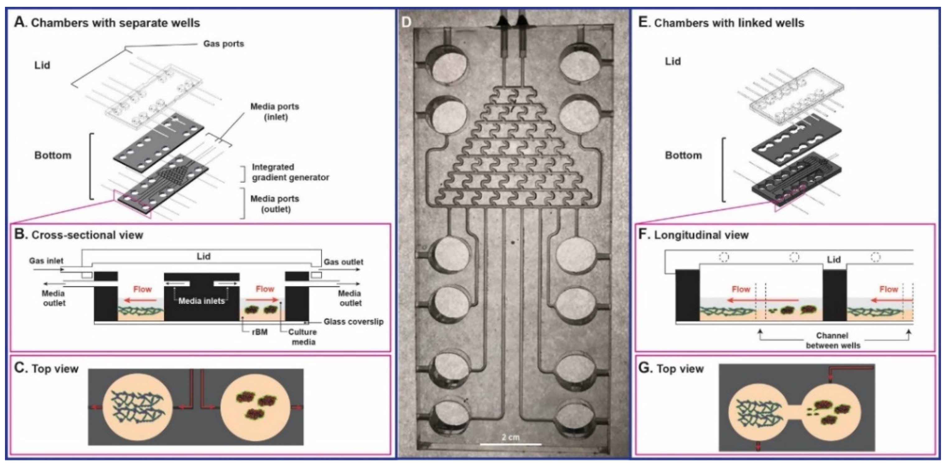 Cancers 13 06044 g005 Cancers 13 06044 g005