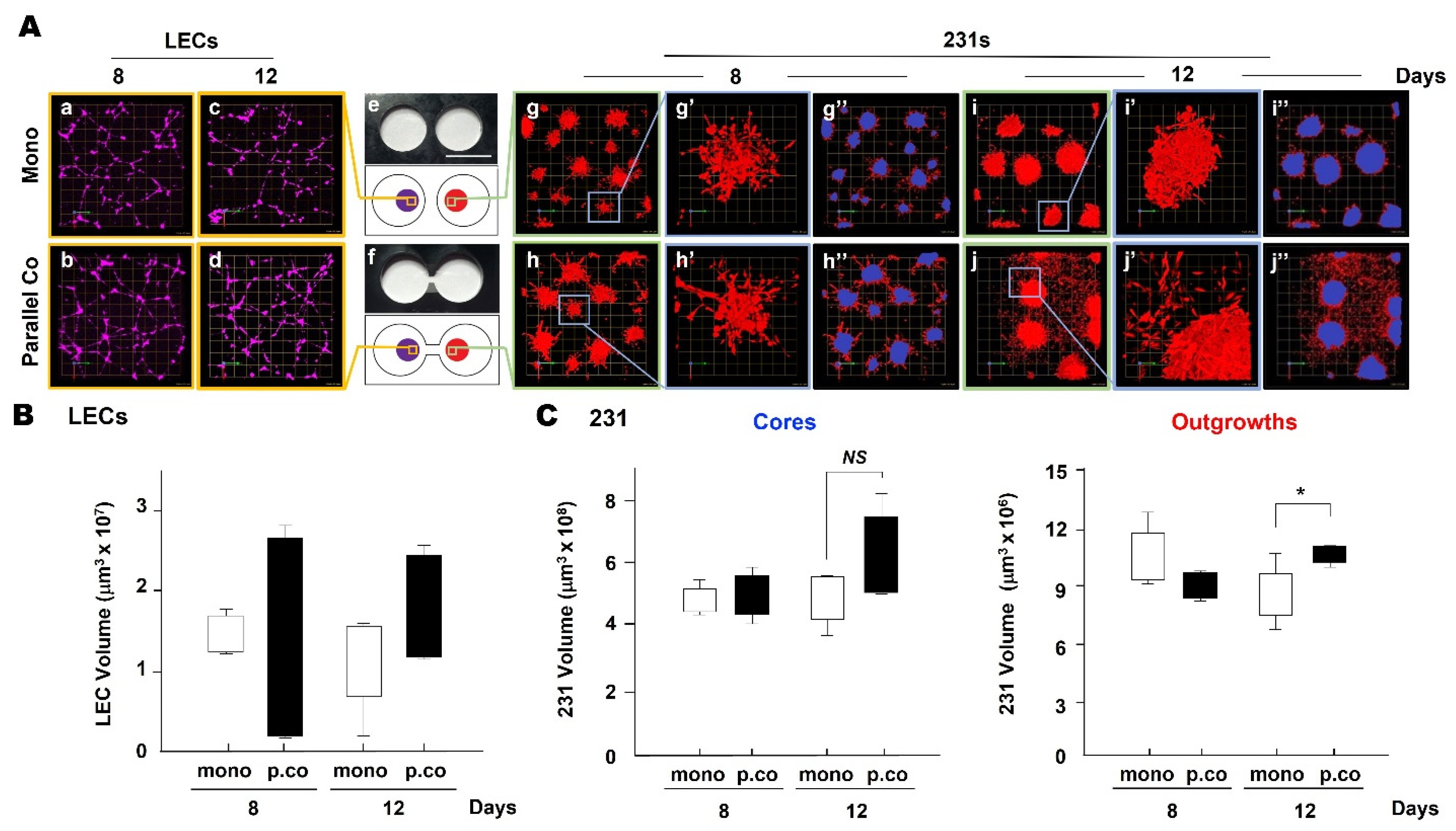 Cancers | Free Full-Text | Modeling Tumor: Lymphatic Interactions