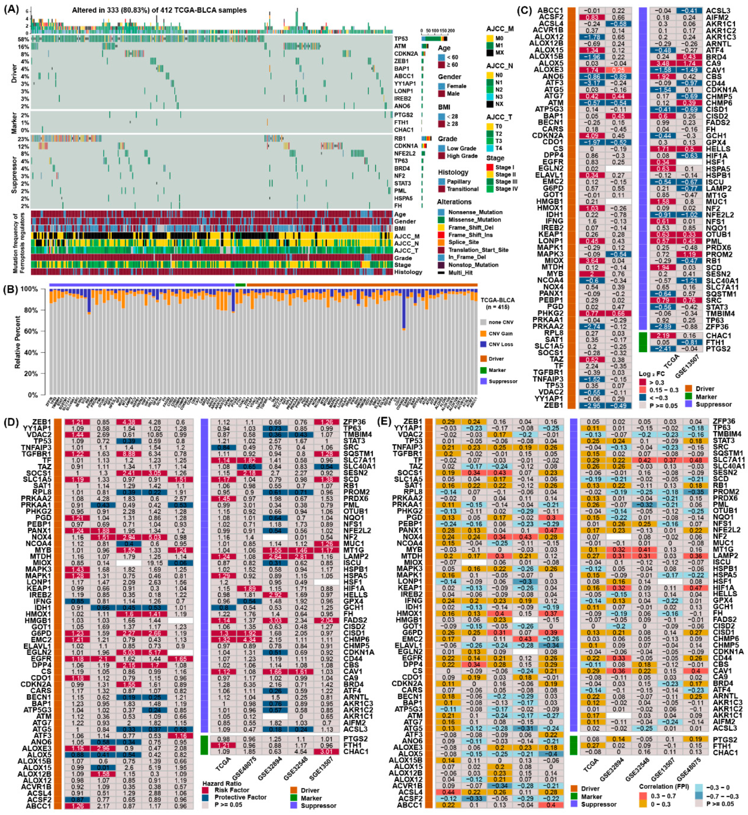 Cancers 13 06069 g001