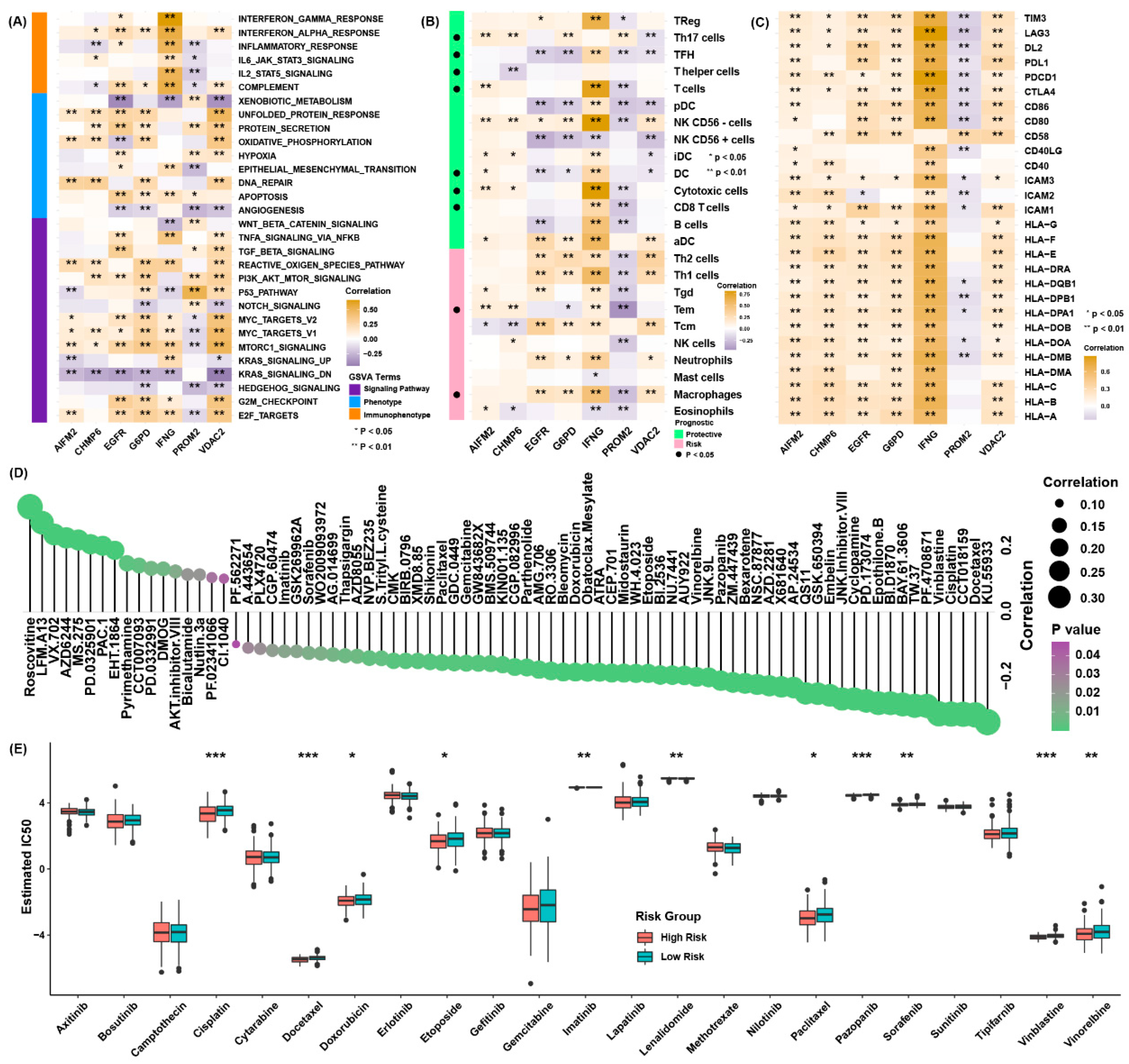 Cancers 13 06069 g006