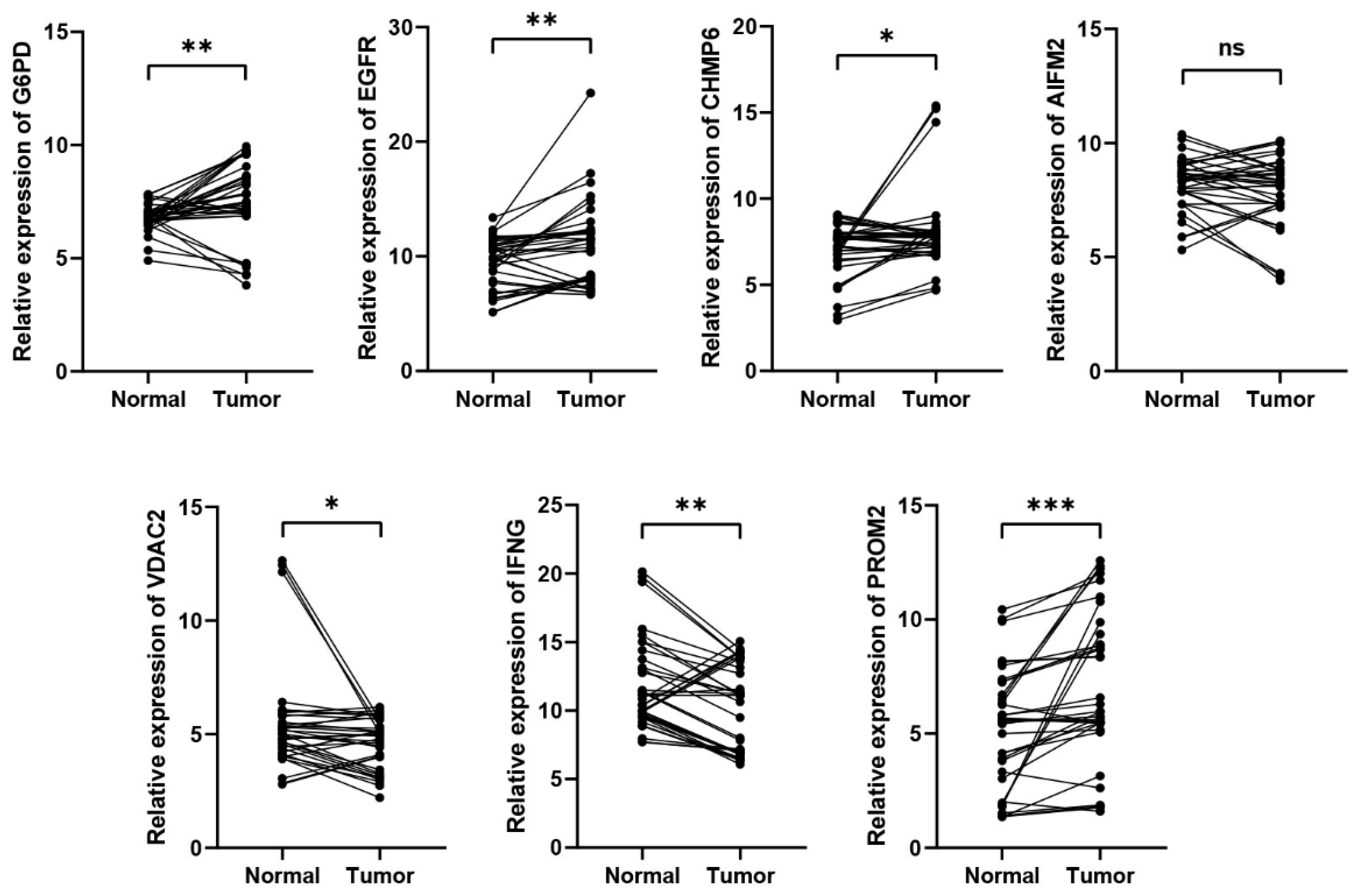 Cancers 13 06069 g007