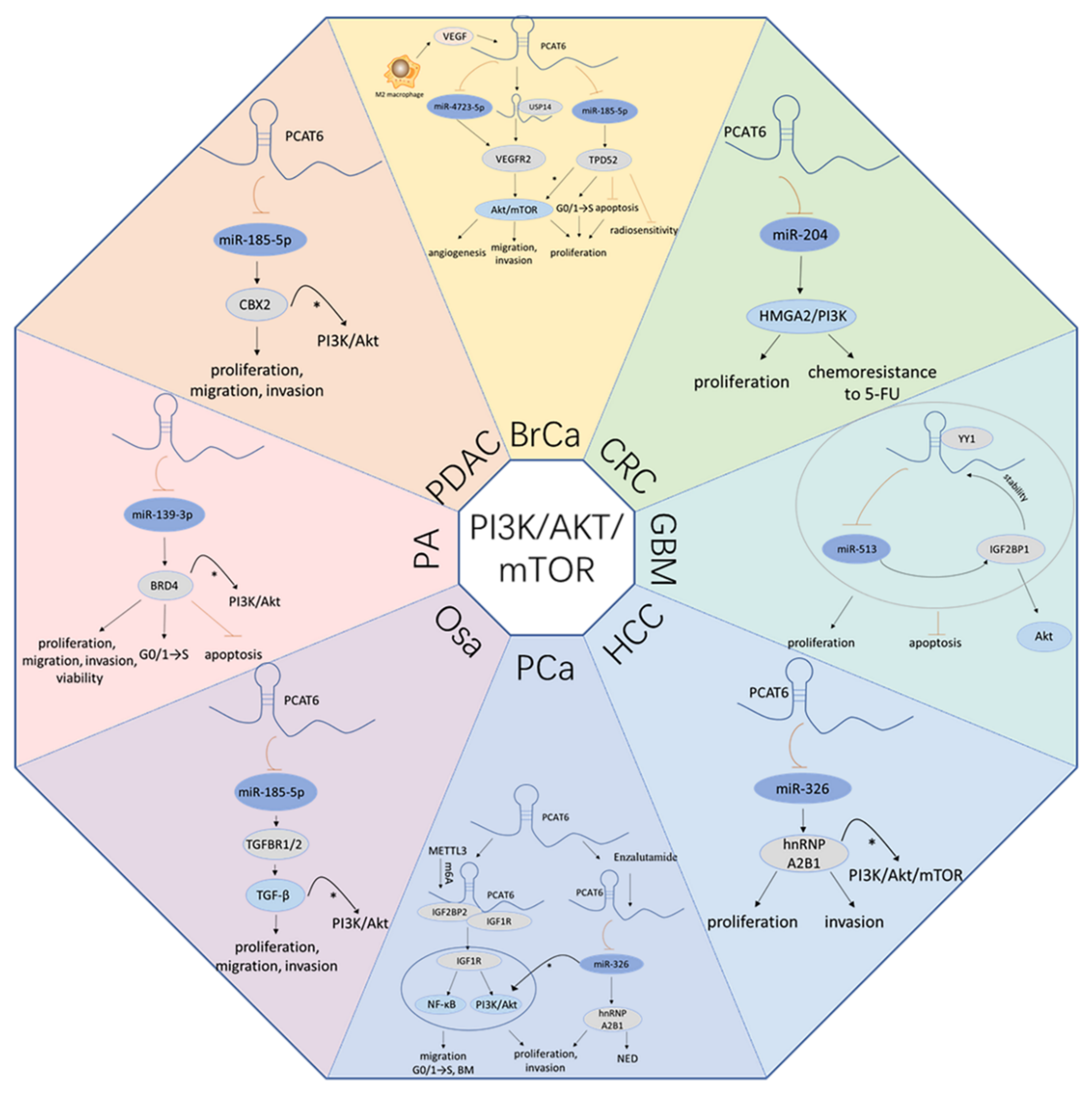 Cancers 13 06101 g002 Cancers 13 06101 g002