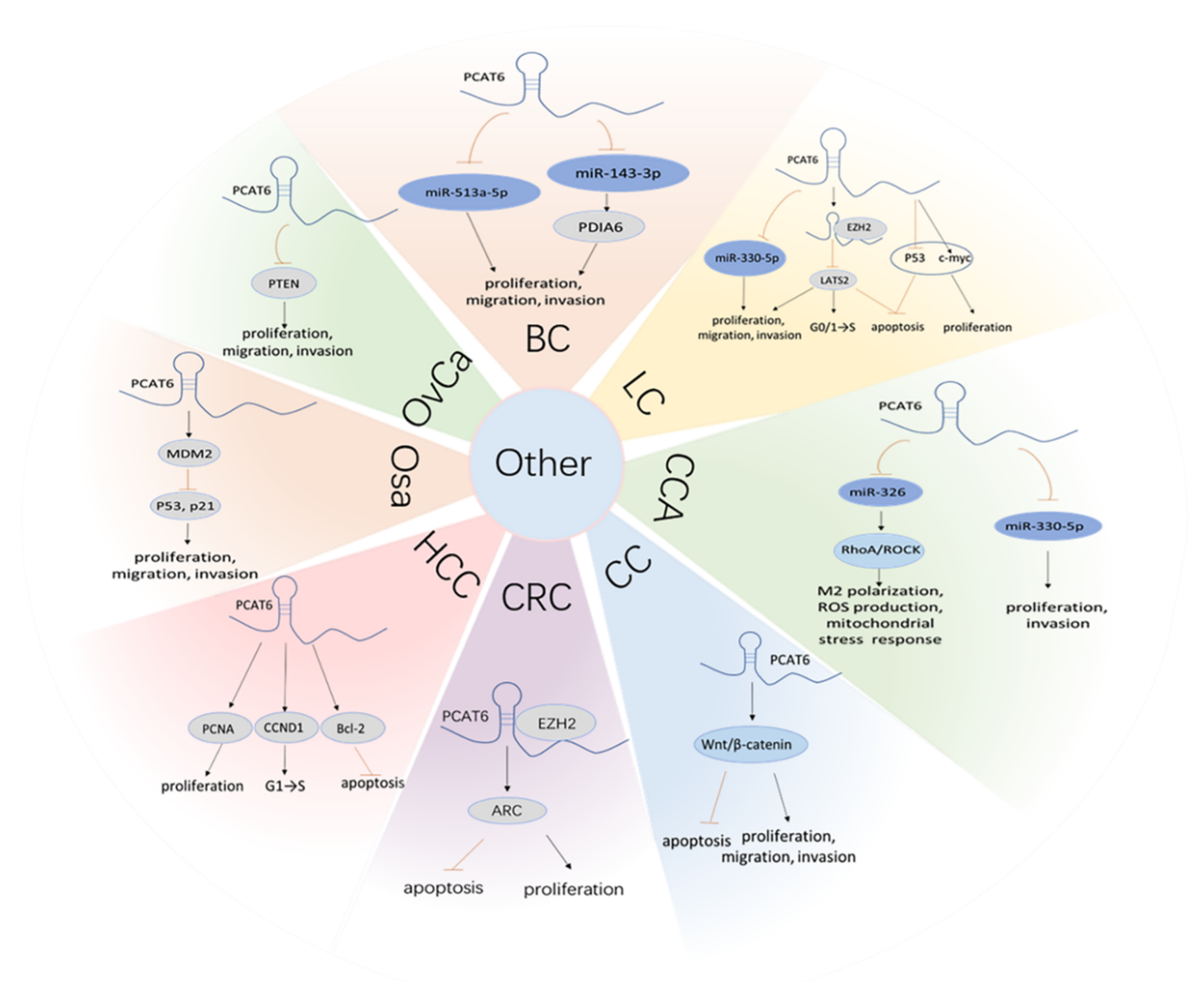 Cancers 13 06101 g005 Cancers 13 06101 g005