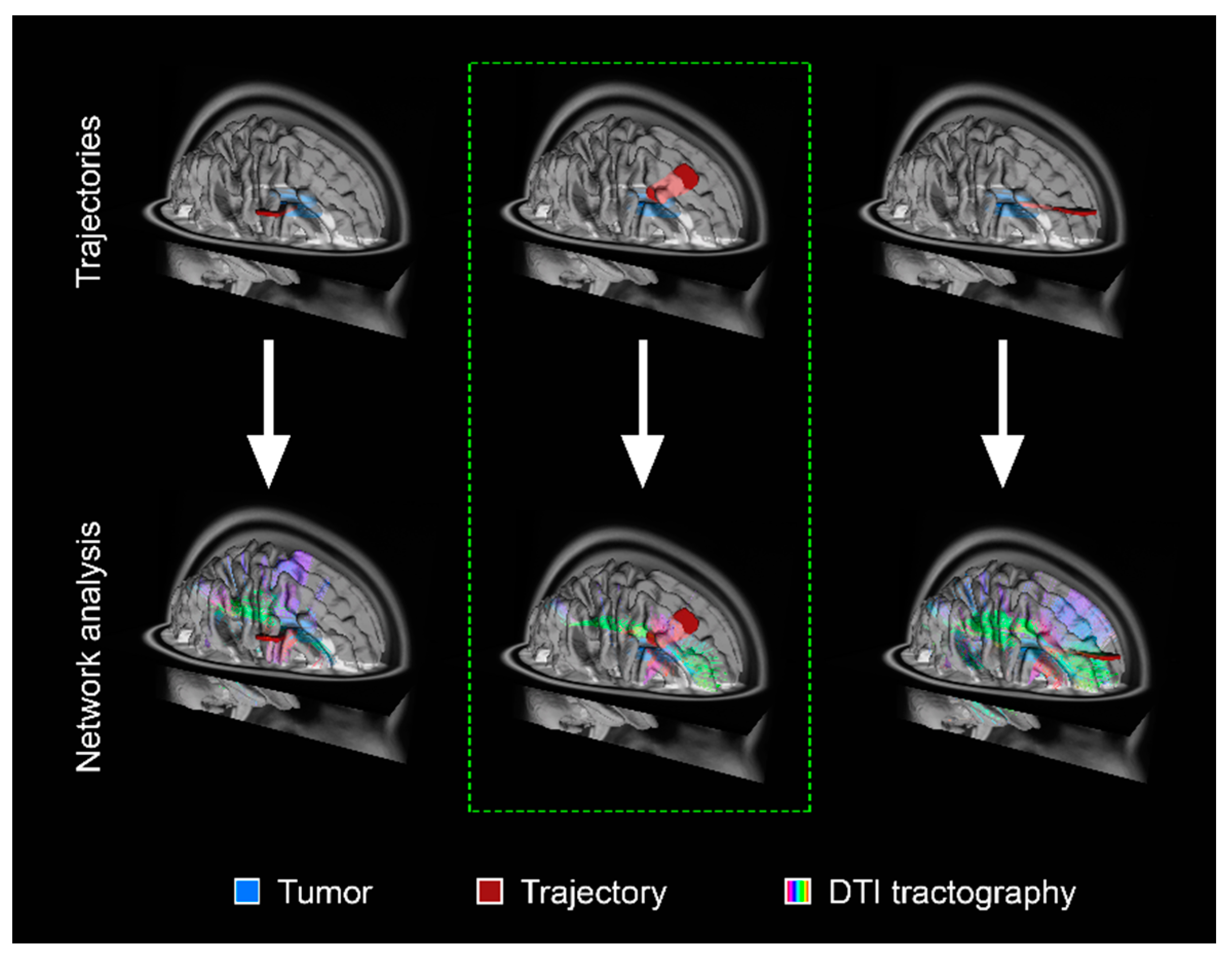 Cancers 13 06127 g002