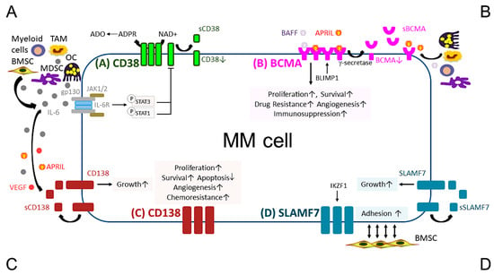 C-IBP-2211 Simulations Pdf