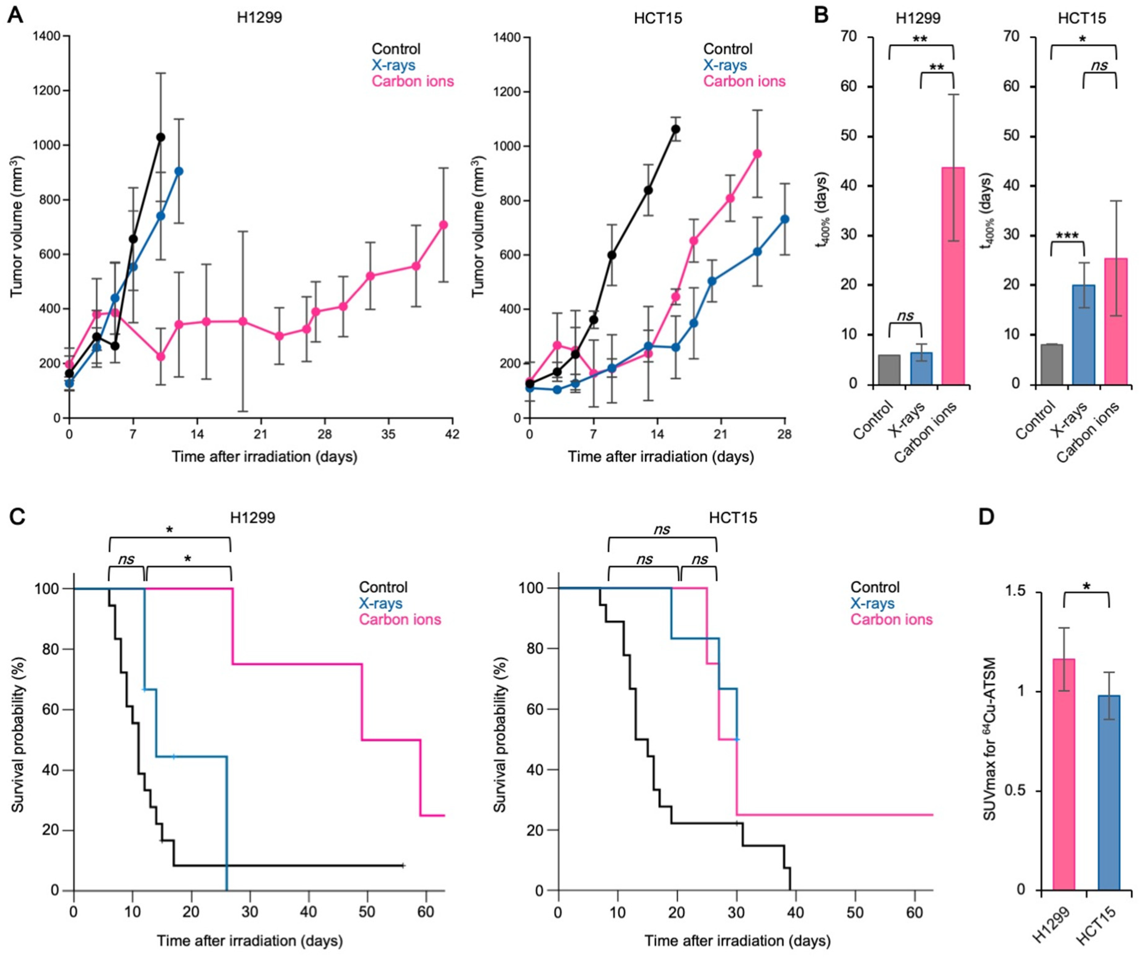 Cancers 13 06159 g002