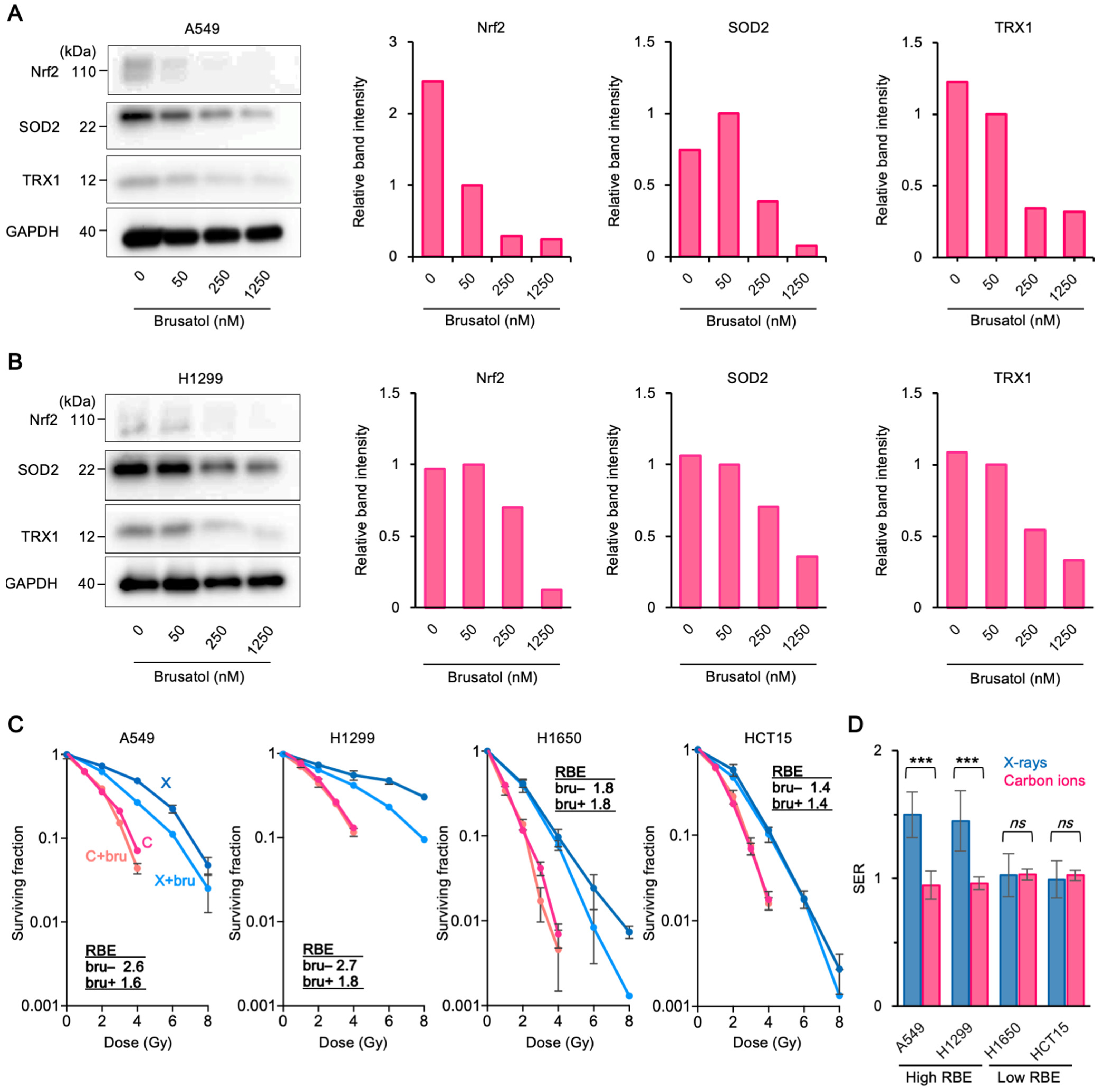 Cancers 13 06159 g004