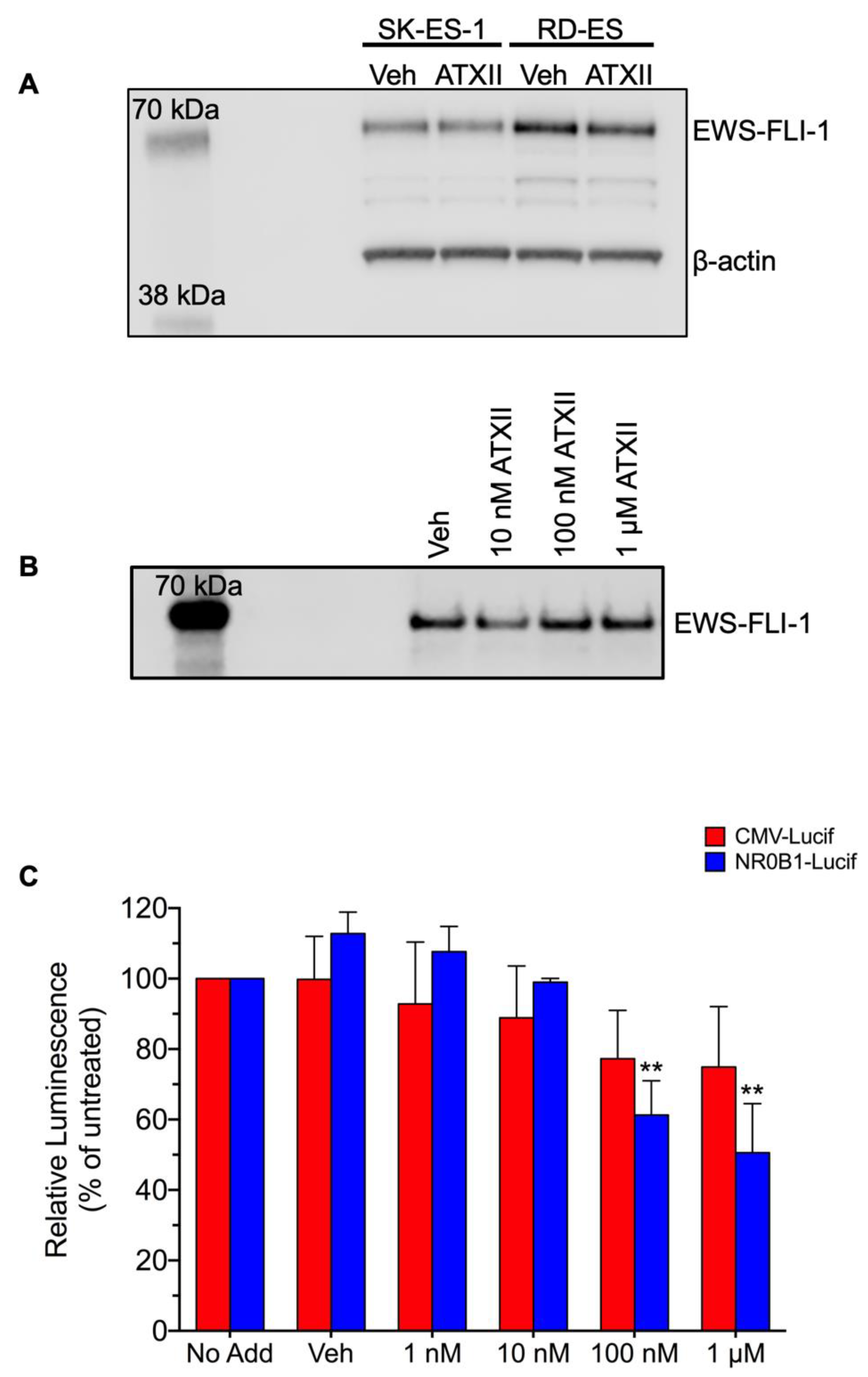 Cancers 13 06176 g004