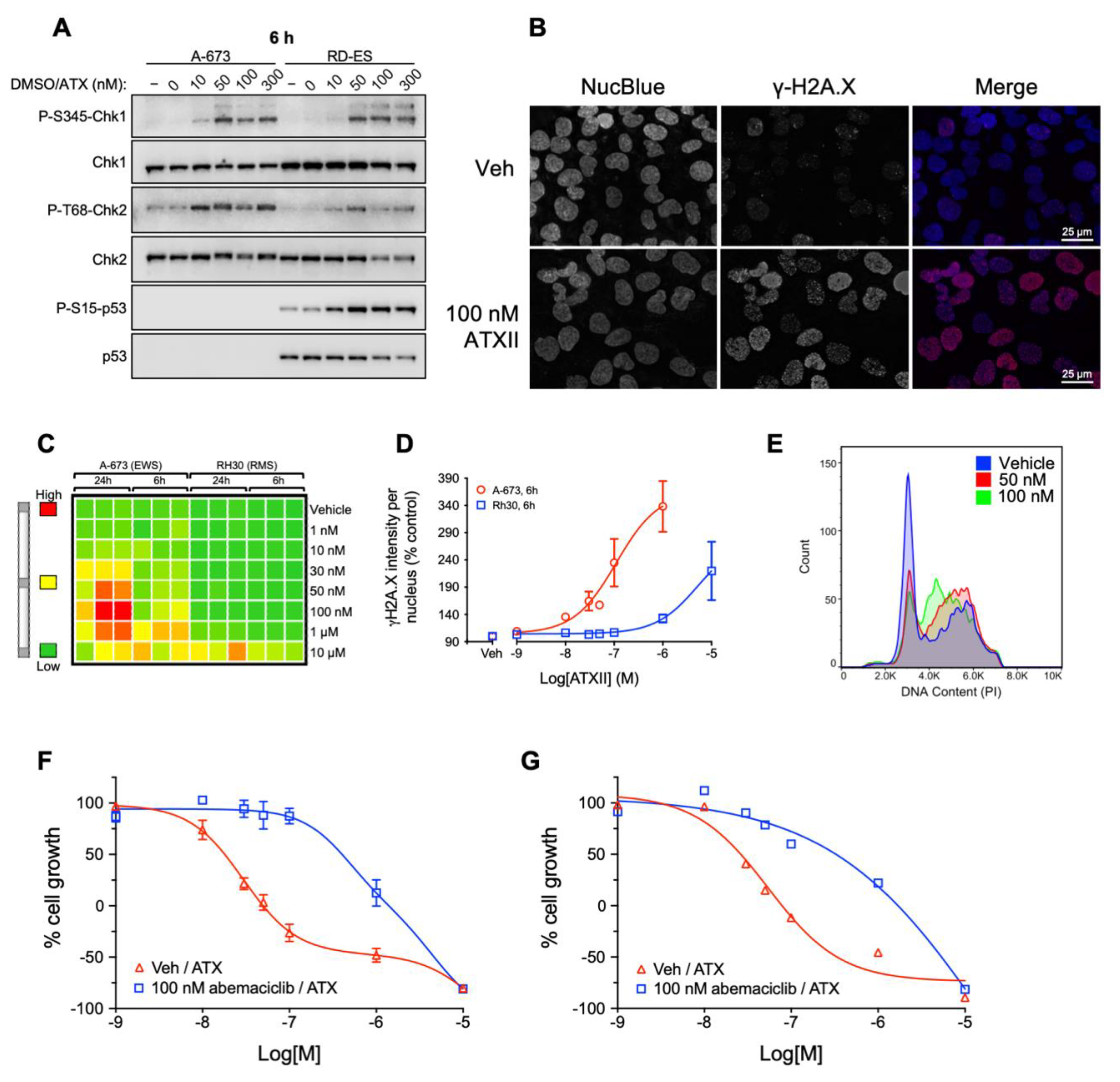 Cancers 13 06176 g005