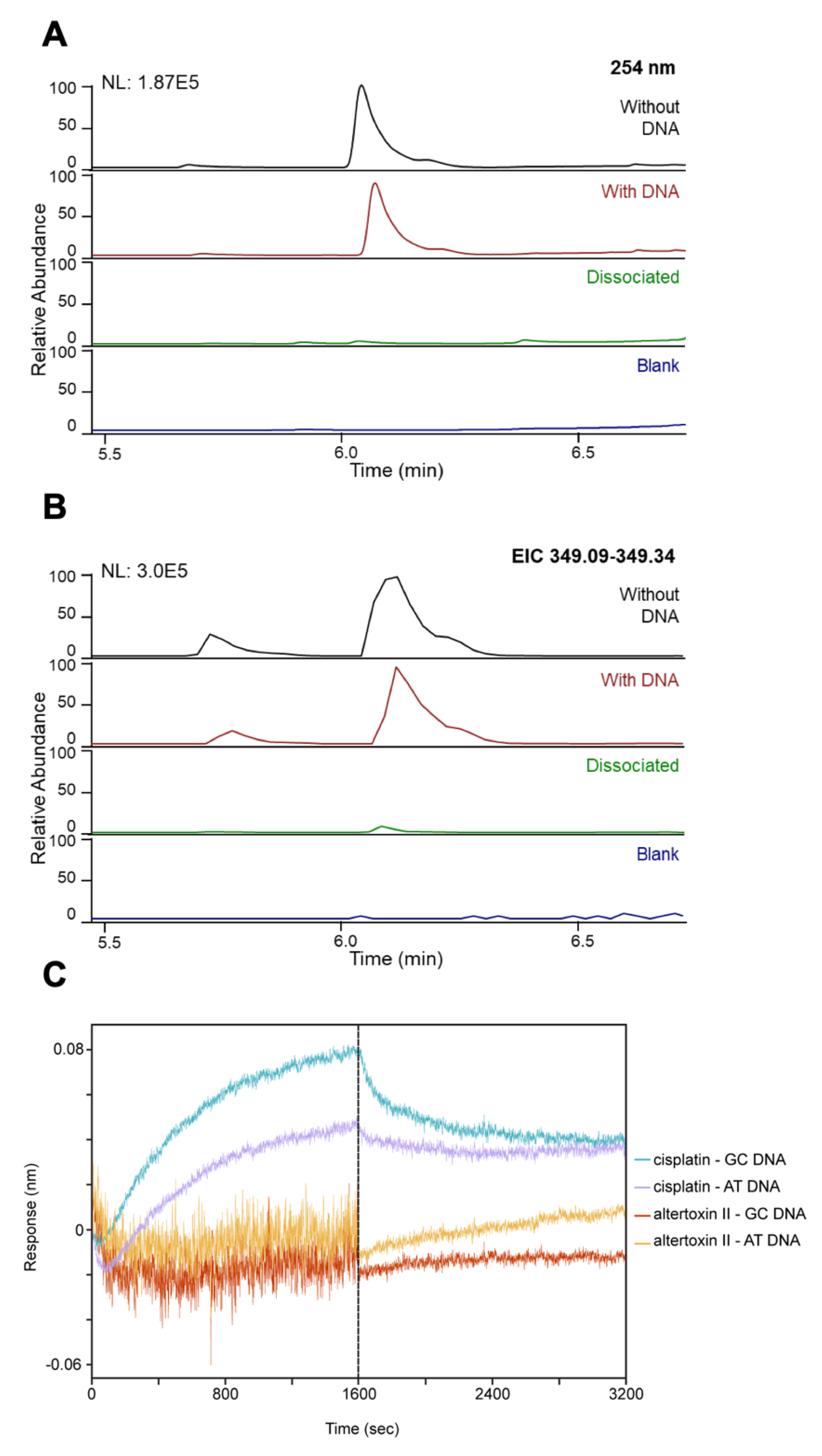 Cancers 13 06176 g006