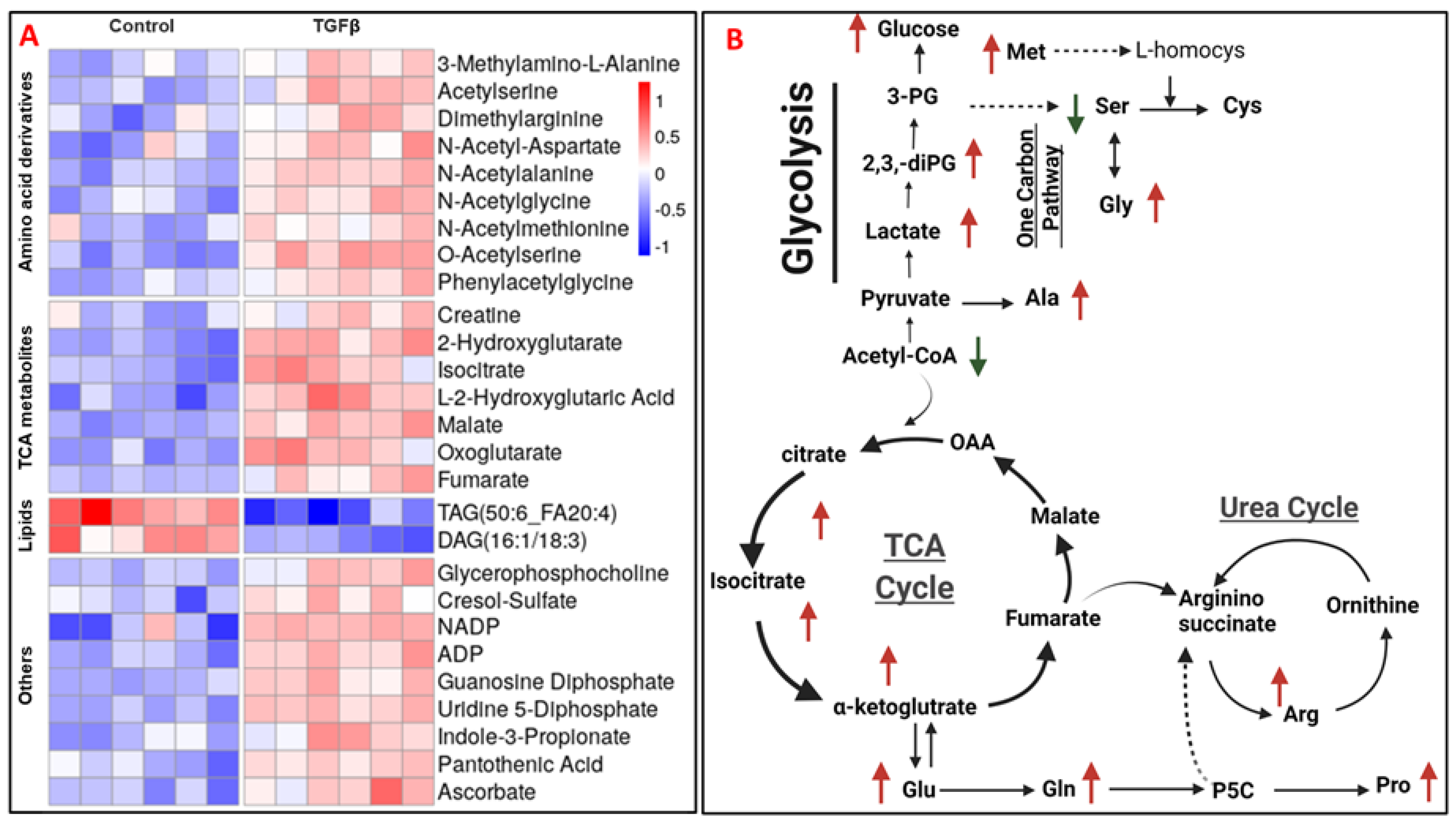 Cancers 13 06204 g002