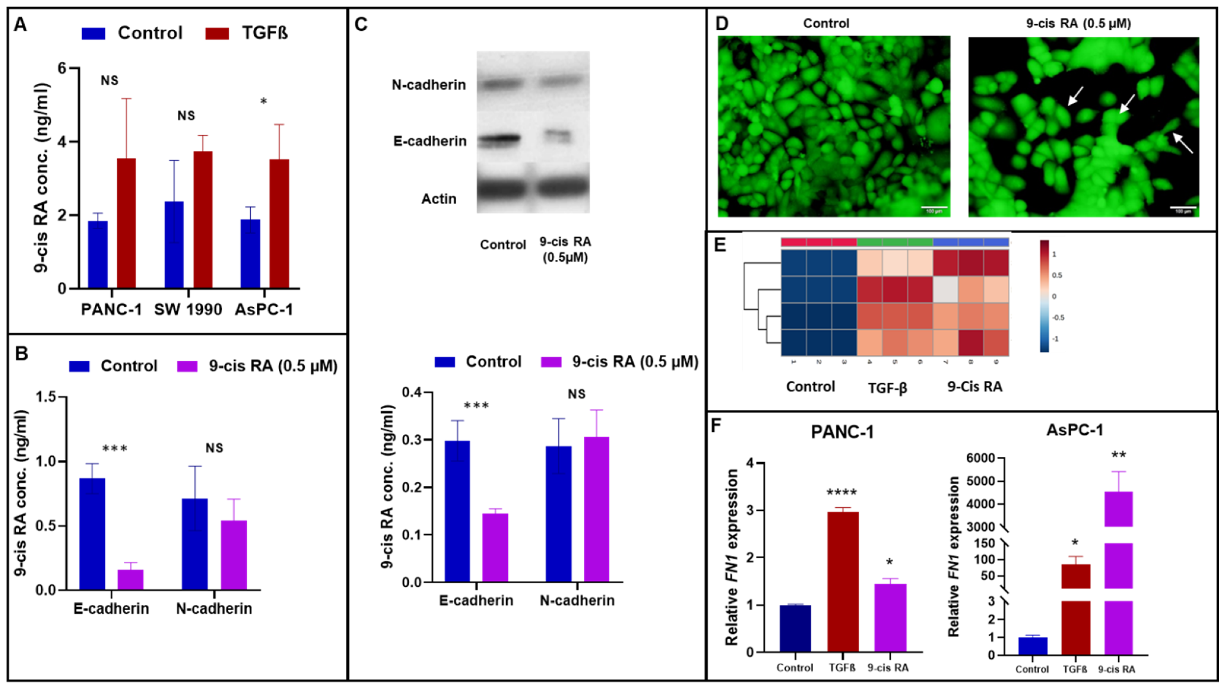 Cancers 13 06204 g003