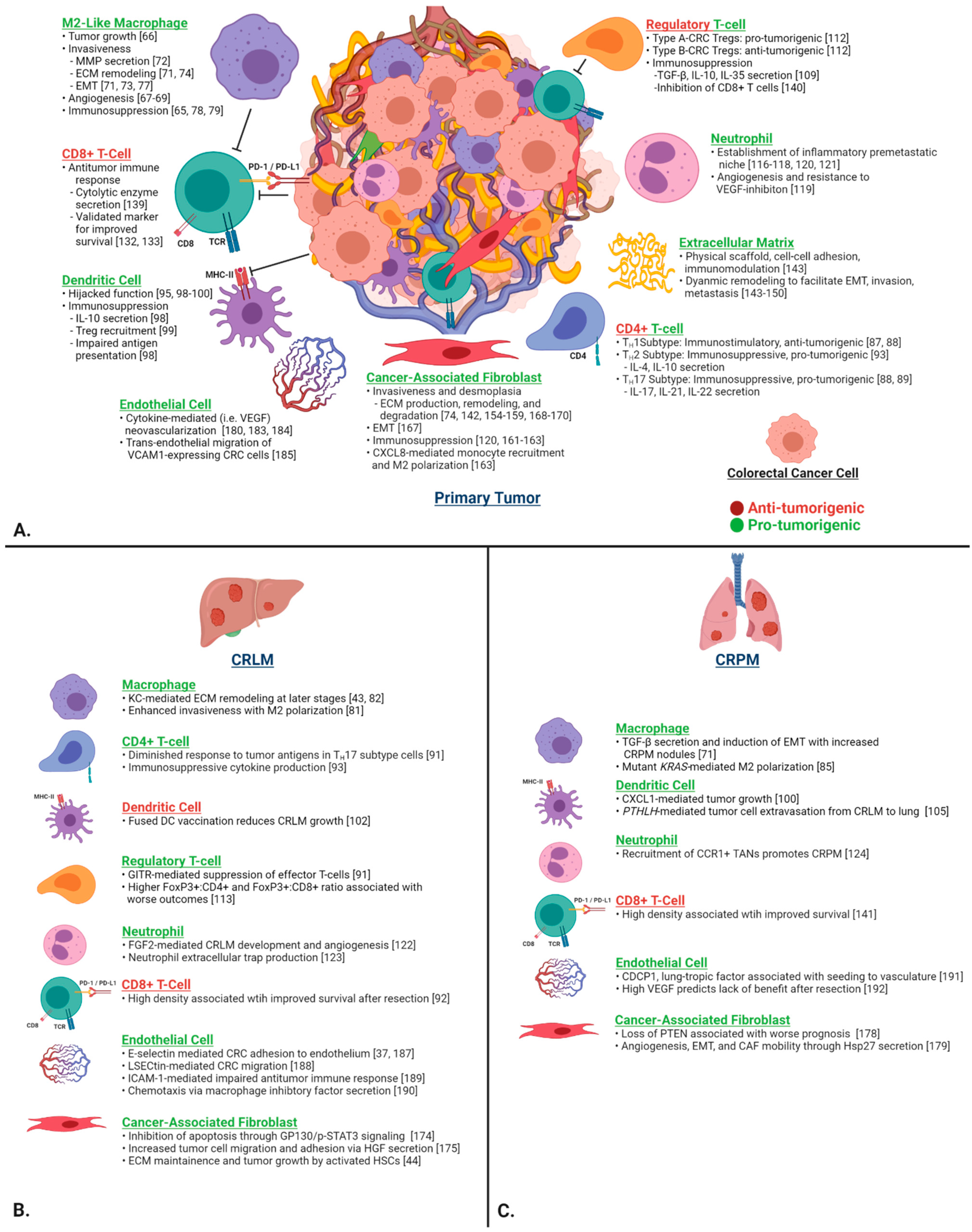 Cancers 13 06206 g002 Cancers 13 06206 g002