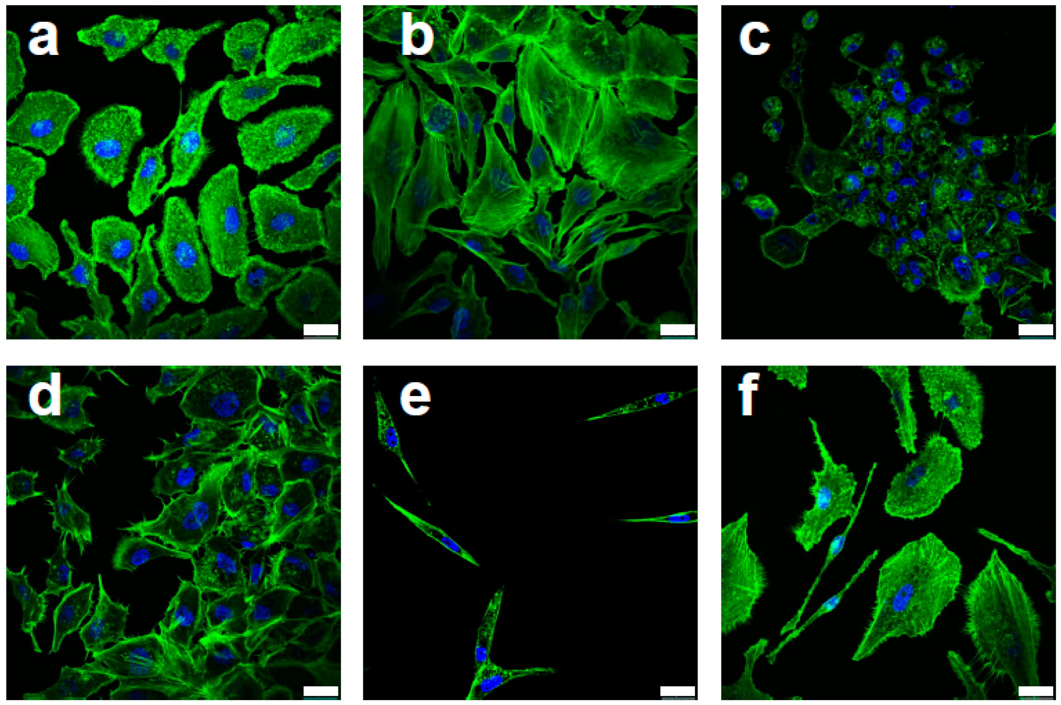 Cancers 13 06232 g001 Cancers 13 06232 g001
